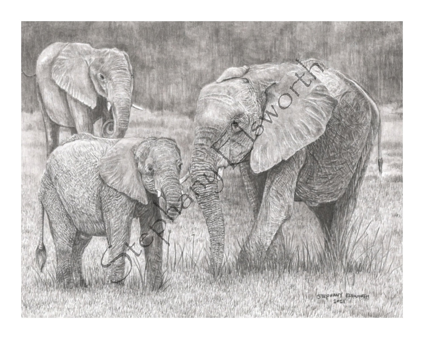 Elephant Family Fine Art Print