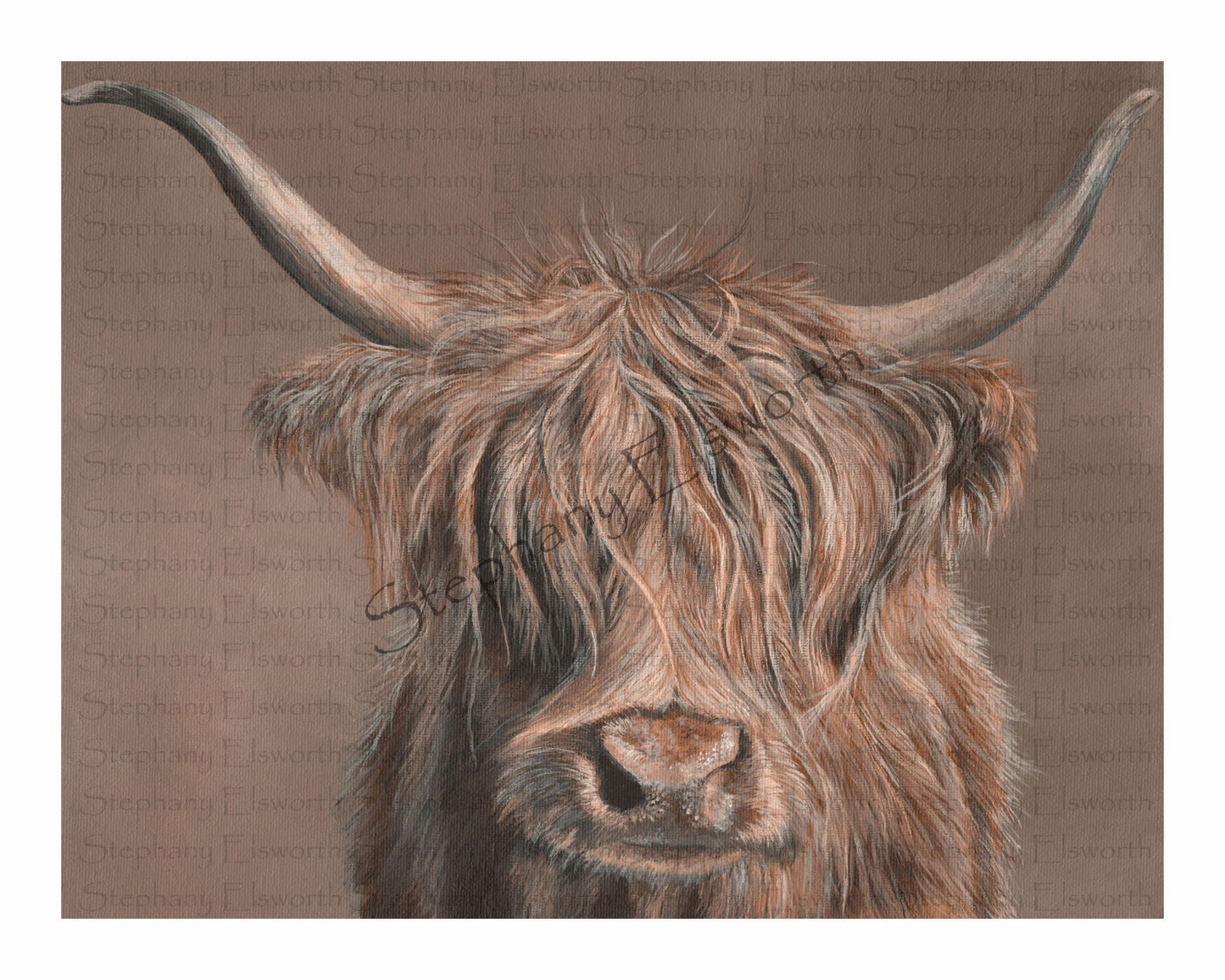 Scottish Highland Cow Giclee Fine Art Print