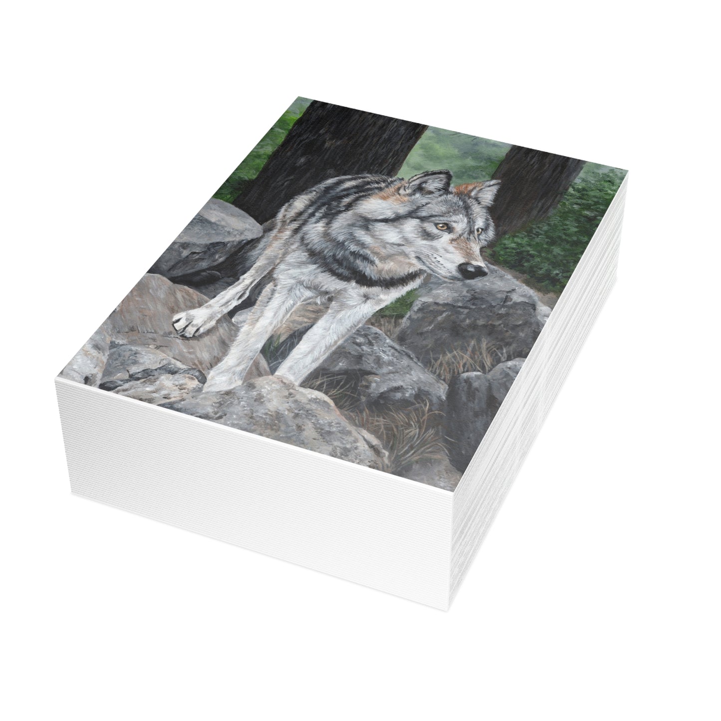 Wolf on Rocks Postcard Bundles (envelopes included)