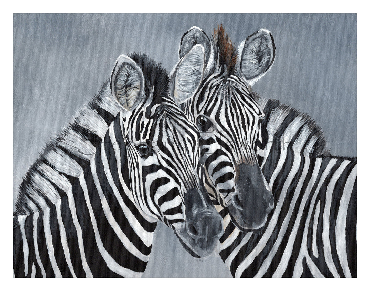 Zebras Giclee Fine Art Print