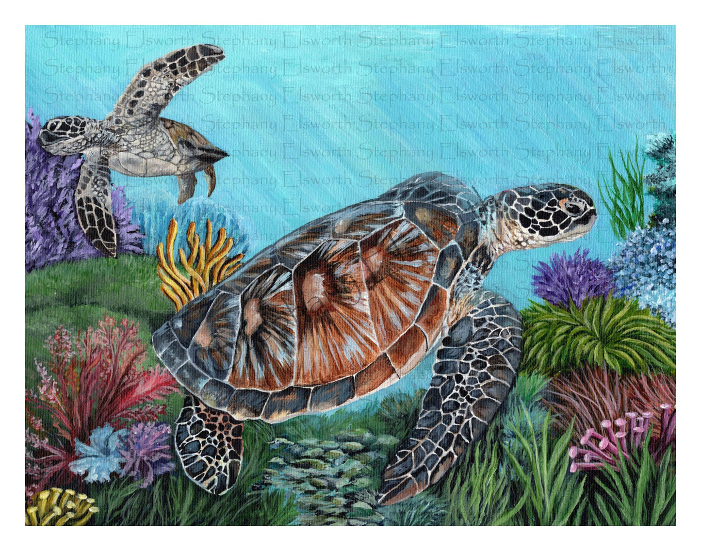 Sea Turtles Giclee Fine Art Print