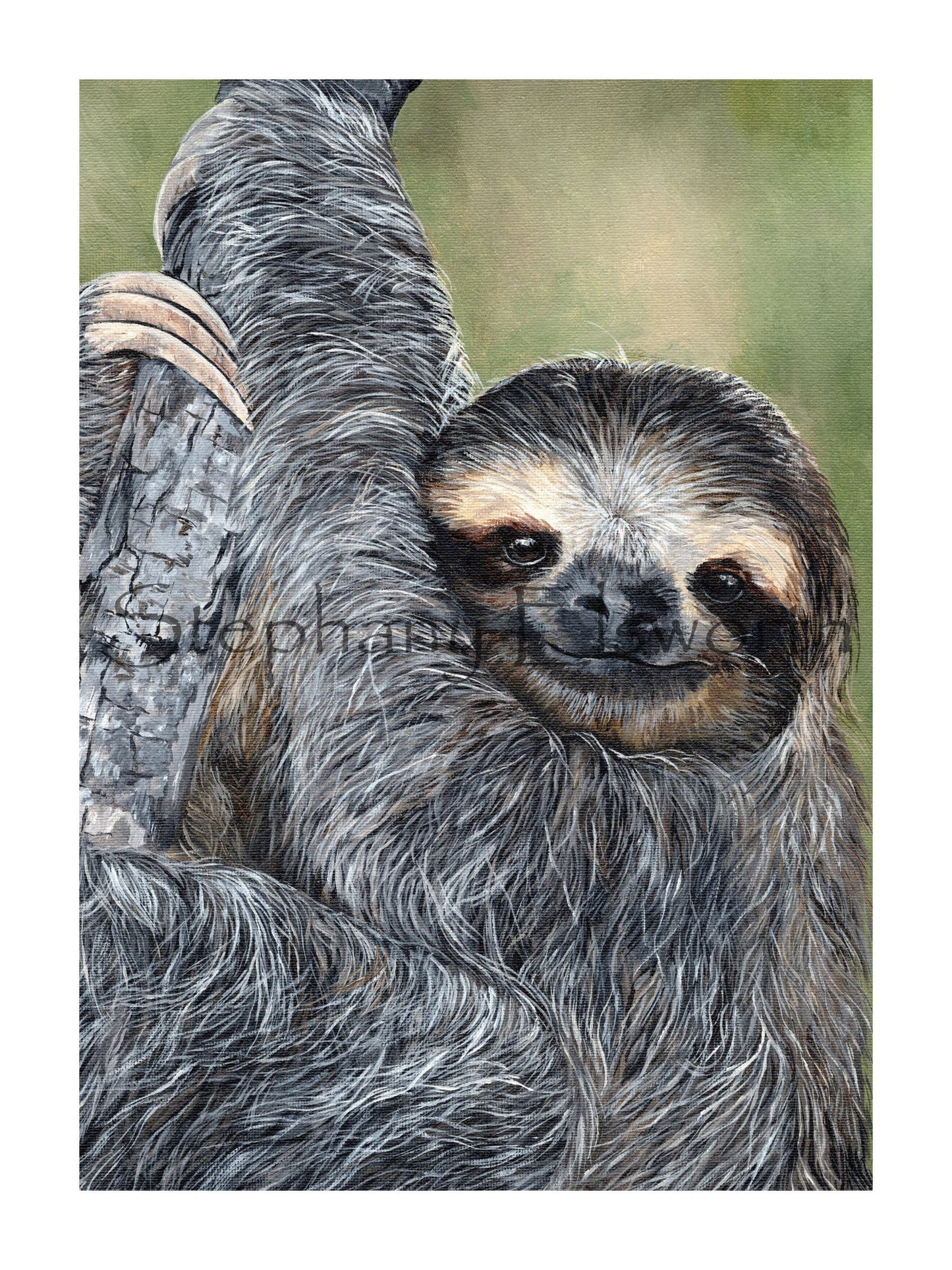 Sloth Giclee Fine Art Print