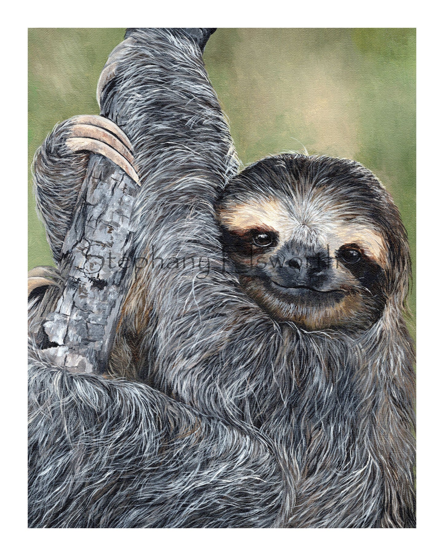 Sloth Giclee Fine Art Print