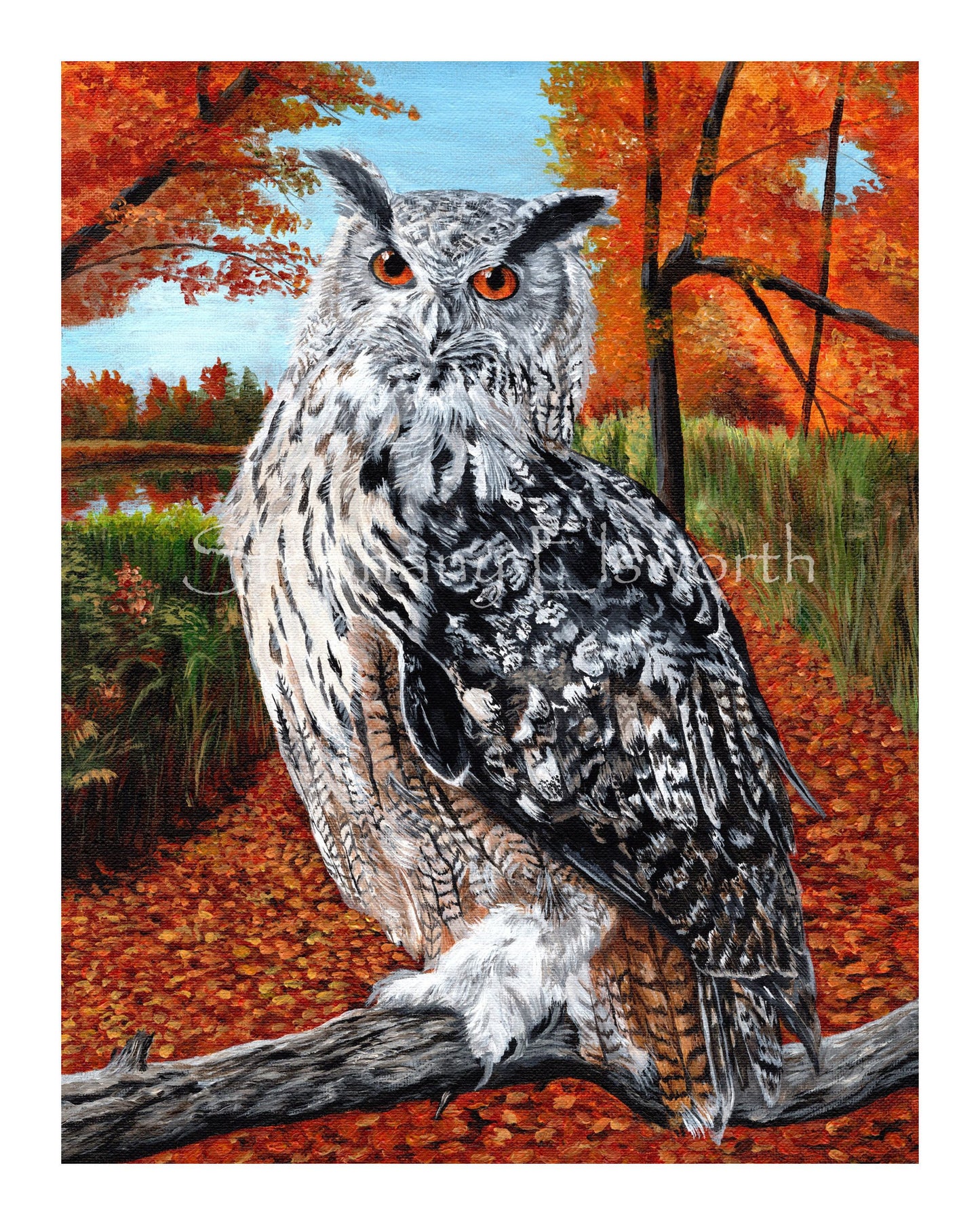 Owl in Autumn Forest Fine Art Giclee Prints