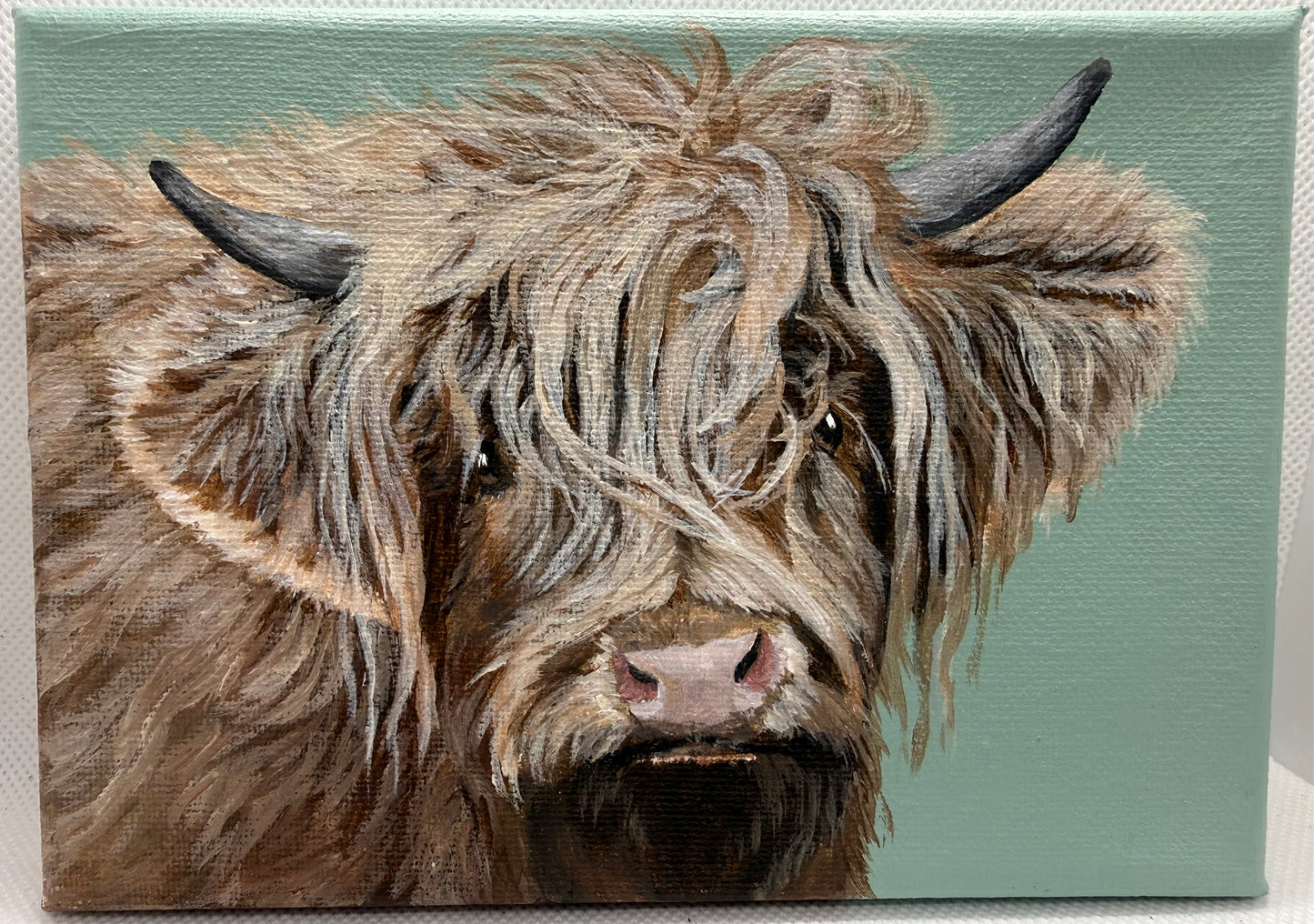 7 x 5 Inch Scottish Highland Cow on Farmhouse Green Original Painting