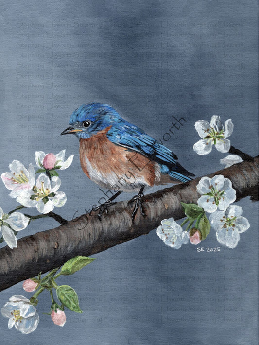 9 x 12 Original Bluebird Acrylic Painting