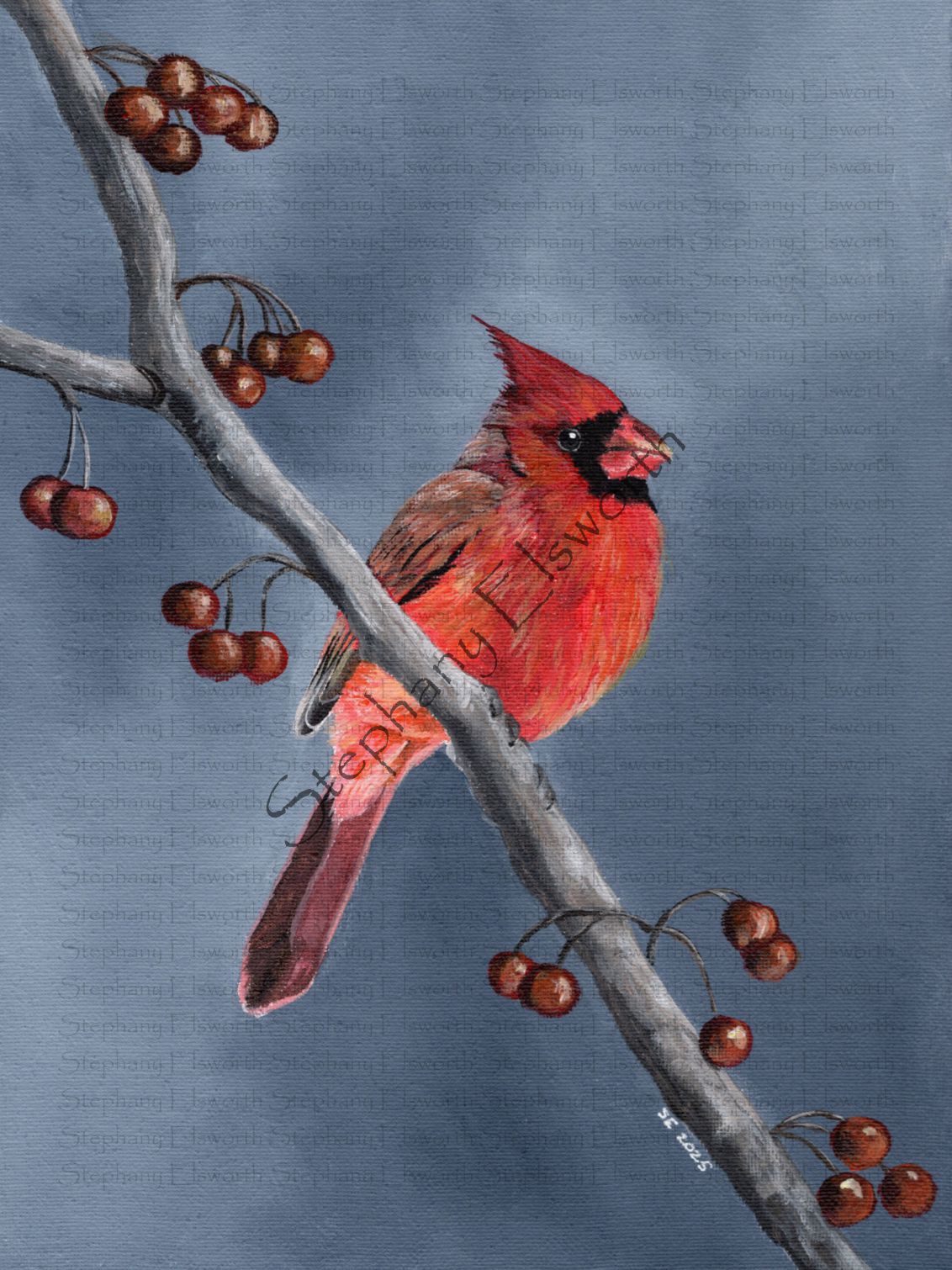 Cardinal Giclee Fine Art Print