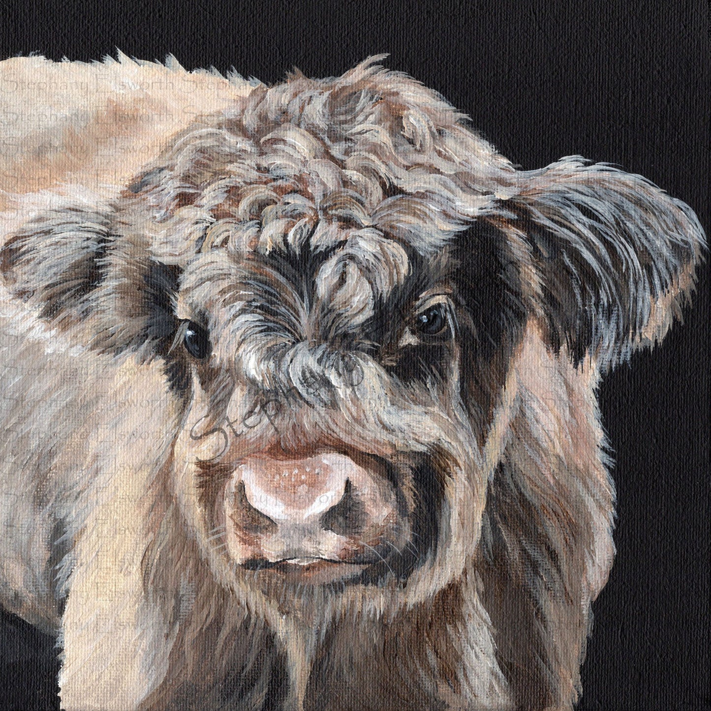 8 x 8 Scottish Highland Calf Original Acrylic Painting