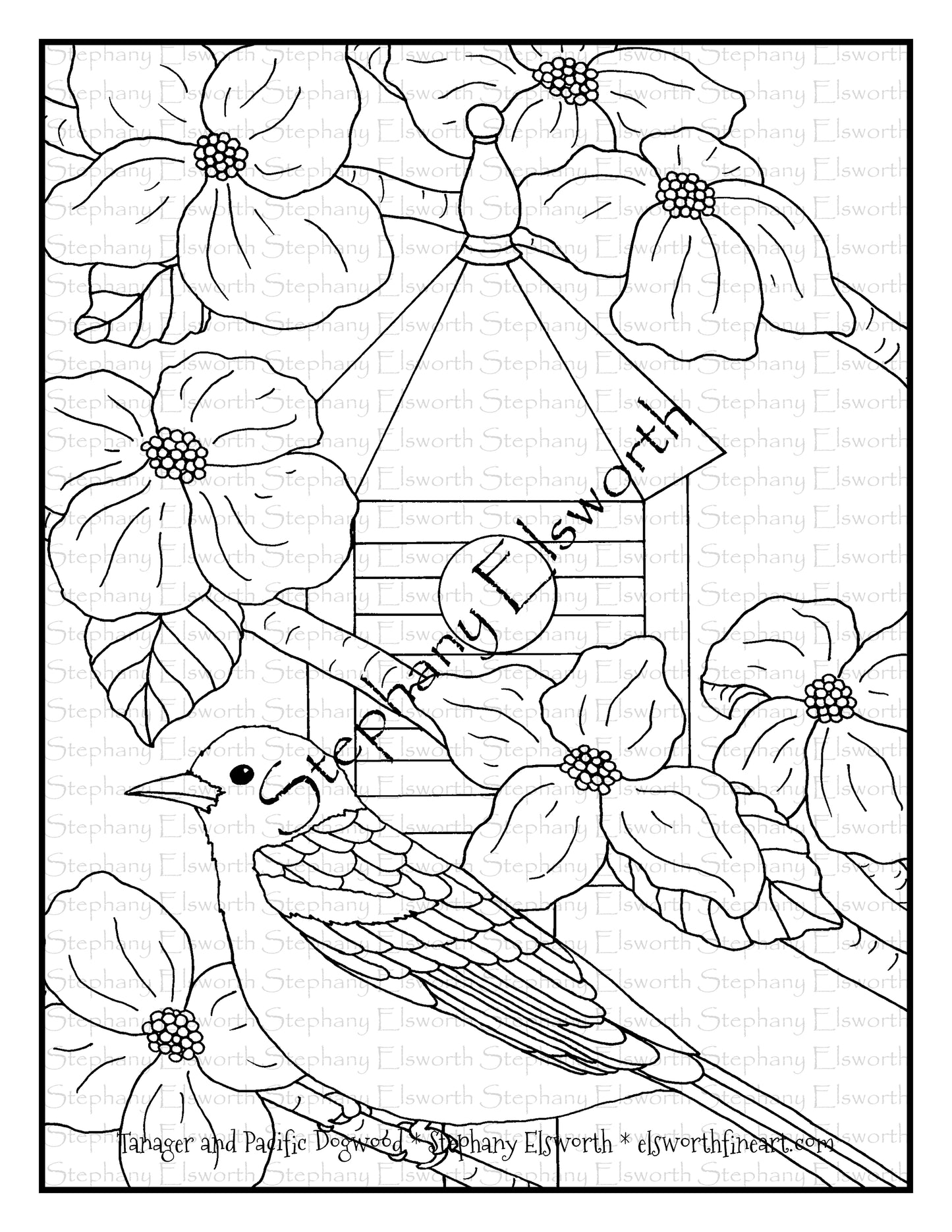Tanager and Pacific Dogwood Free PDF Digital Download Coloring Page