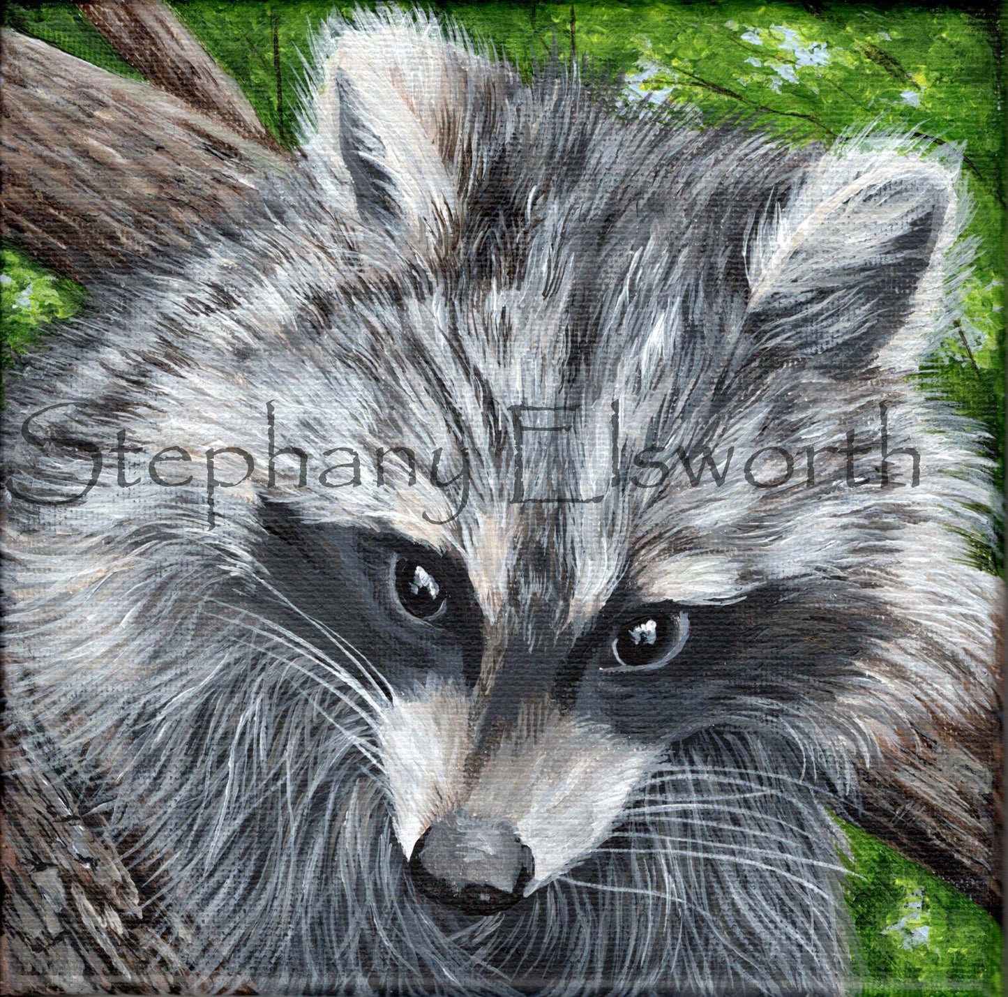 6 x 6 Trouble in the Trees Original Acrylic Miniature Raccoon Painting