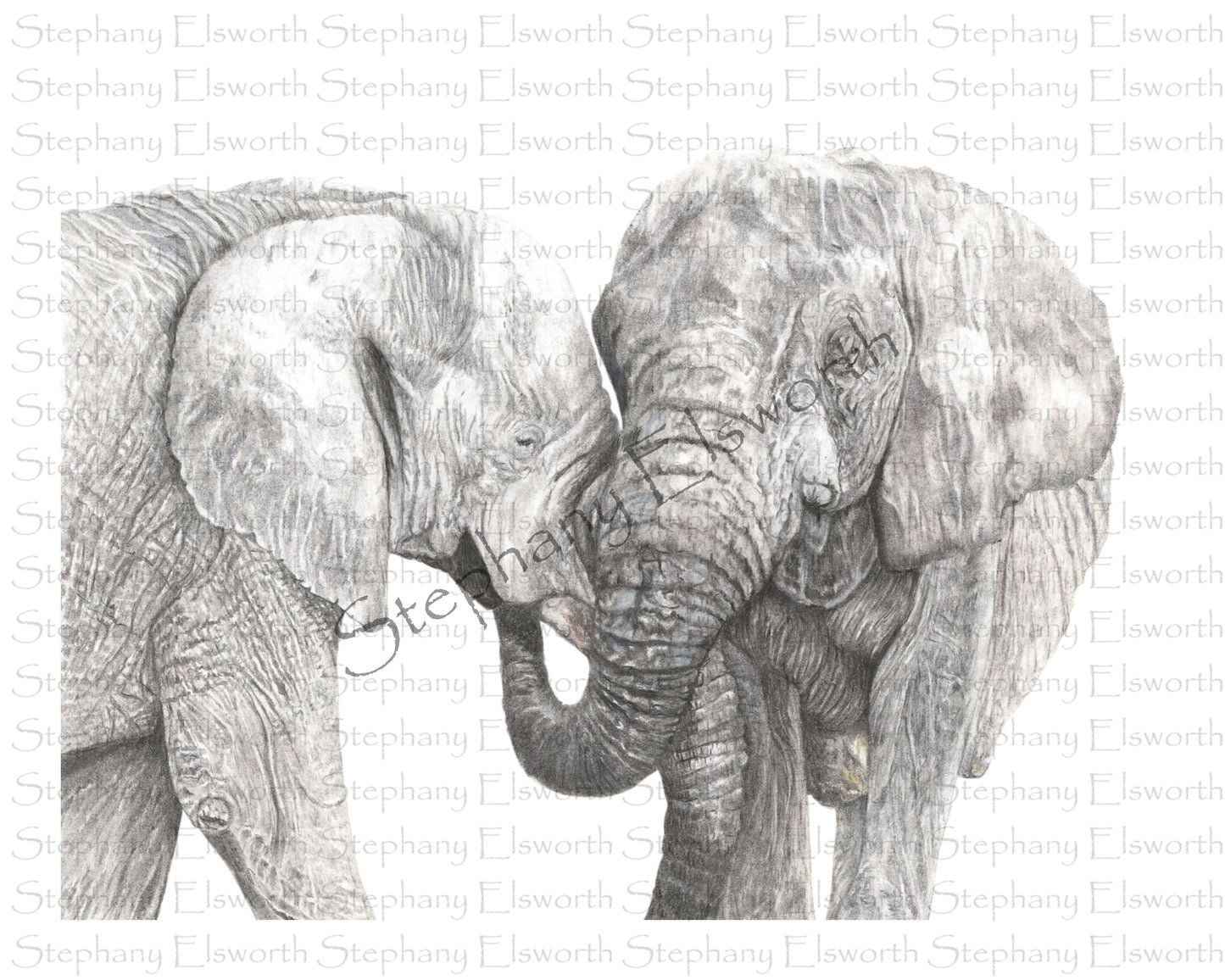Two Elephants Giclee Print