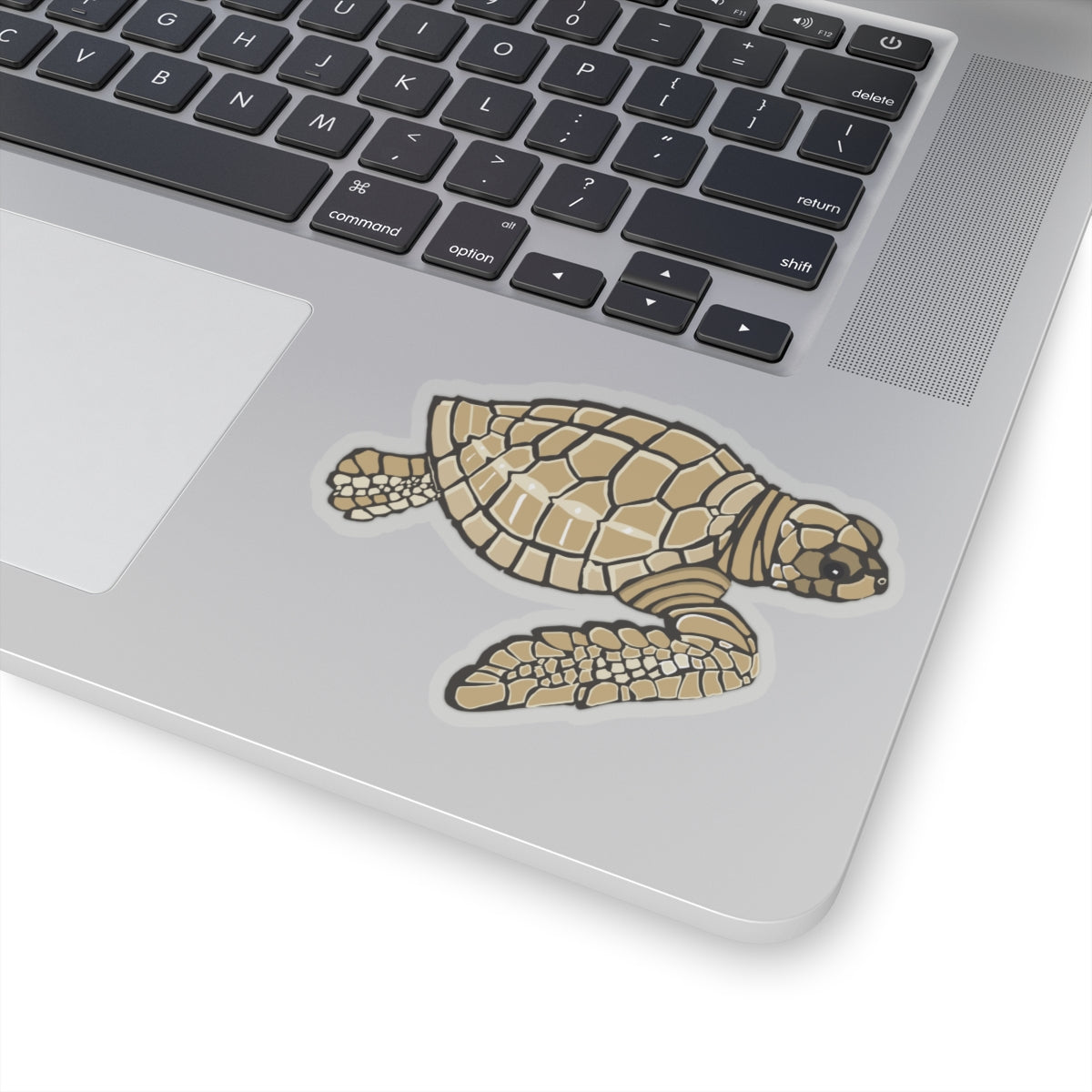 Baby Loggerhead Sea Turtle Kiss-Cut Stickers