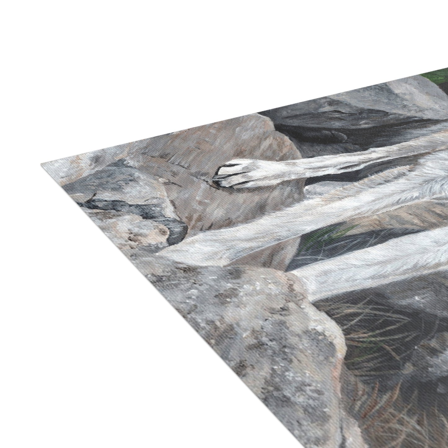 Wolf on Rocks Postcard Bundles (envelopes included)