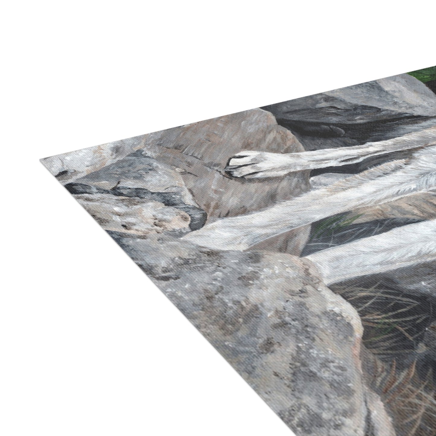 Wolf on Rocks Postcard Bundles (envelopes included)