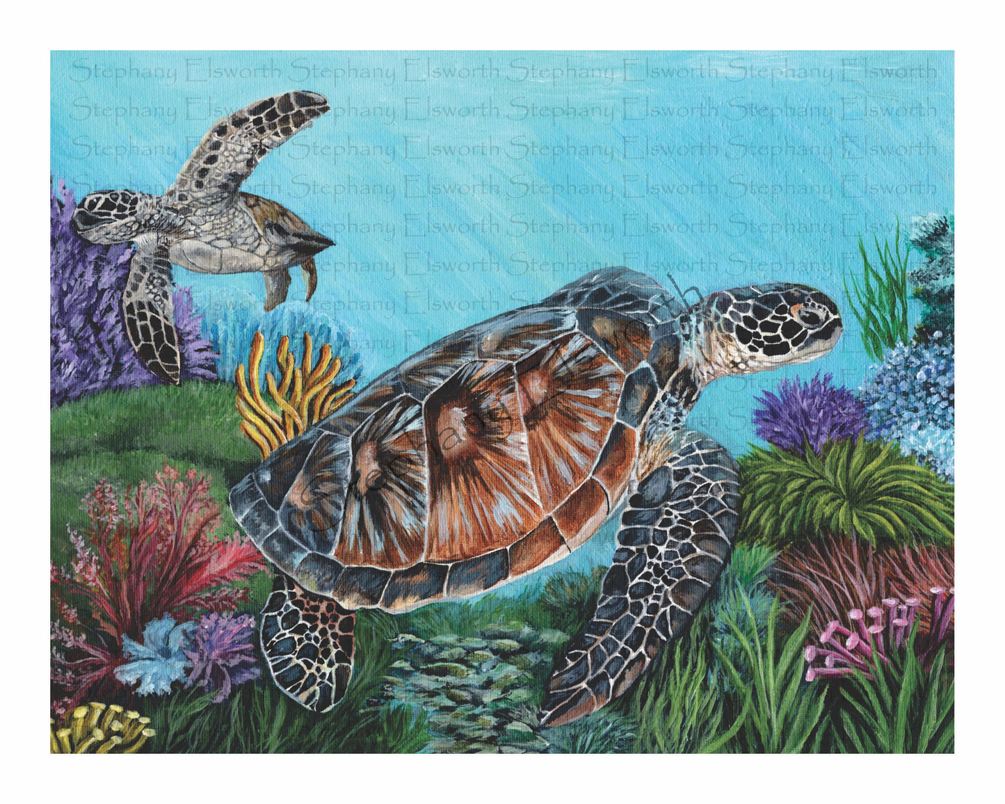 Sea Turtles Giclee Fine Art Print
