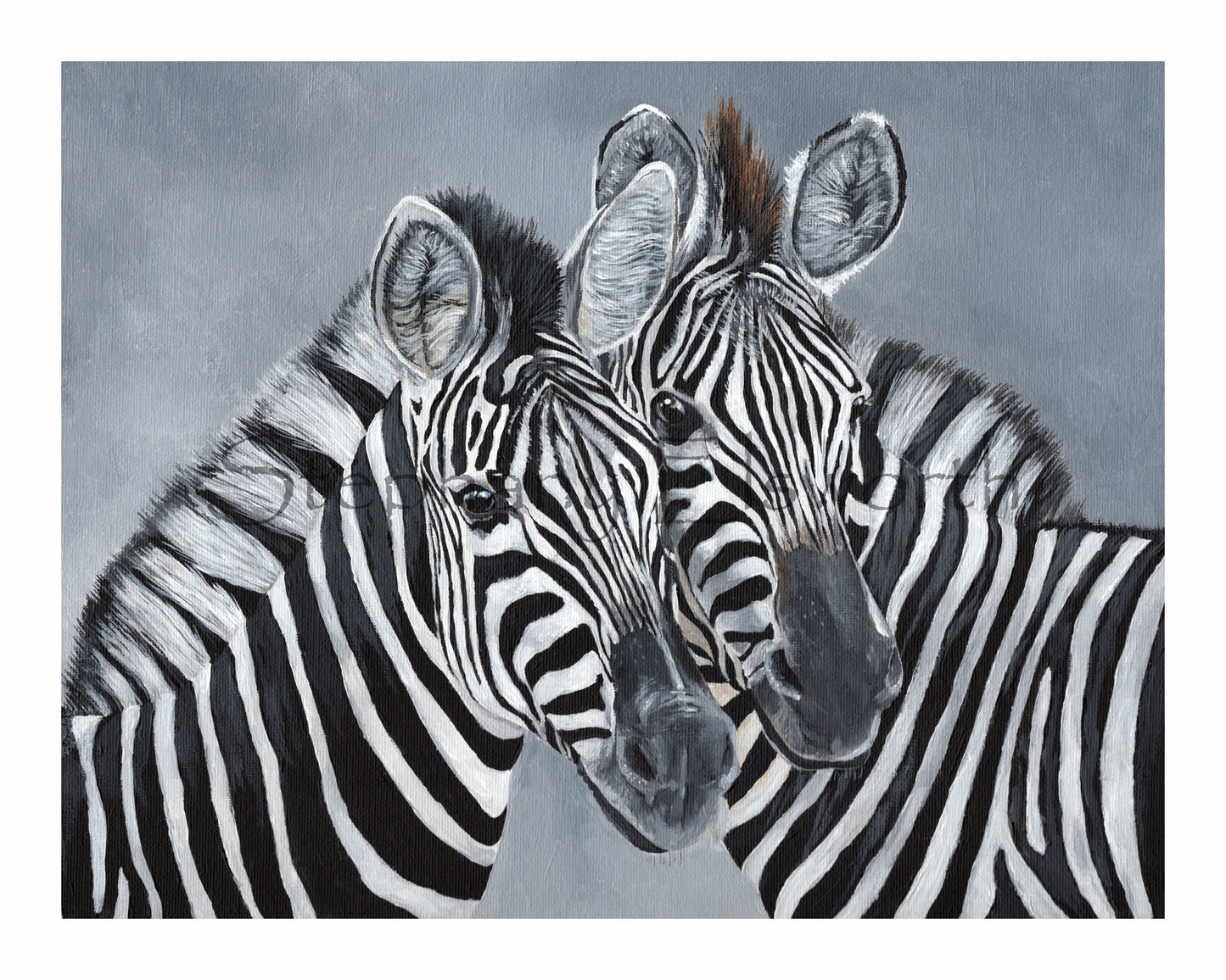 Zebras Giclee Fine Art Print