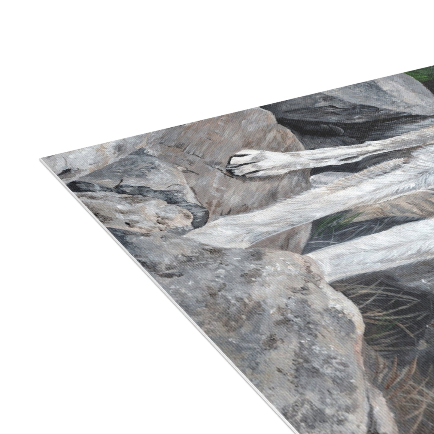 Wolf on Rocks Postcard Bundles (envelopes included)