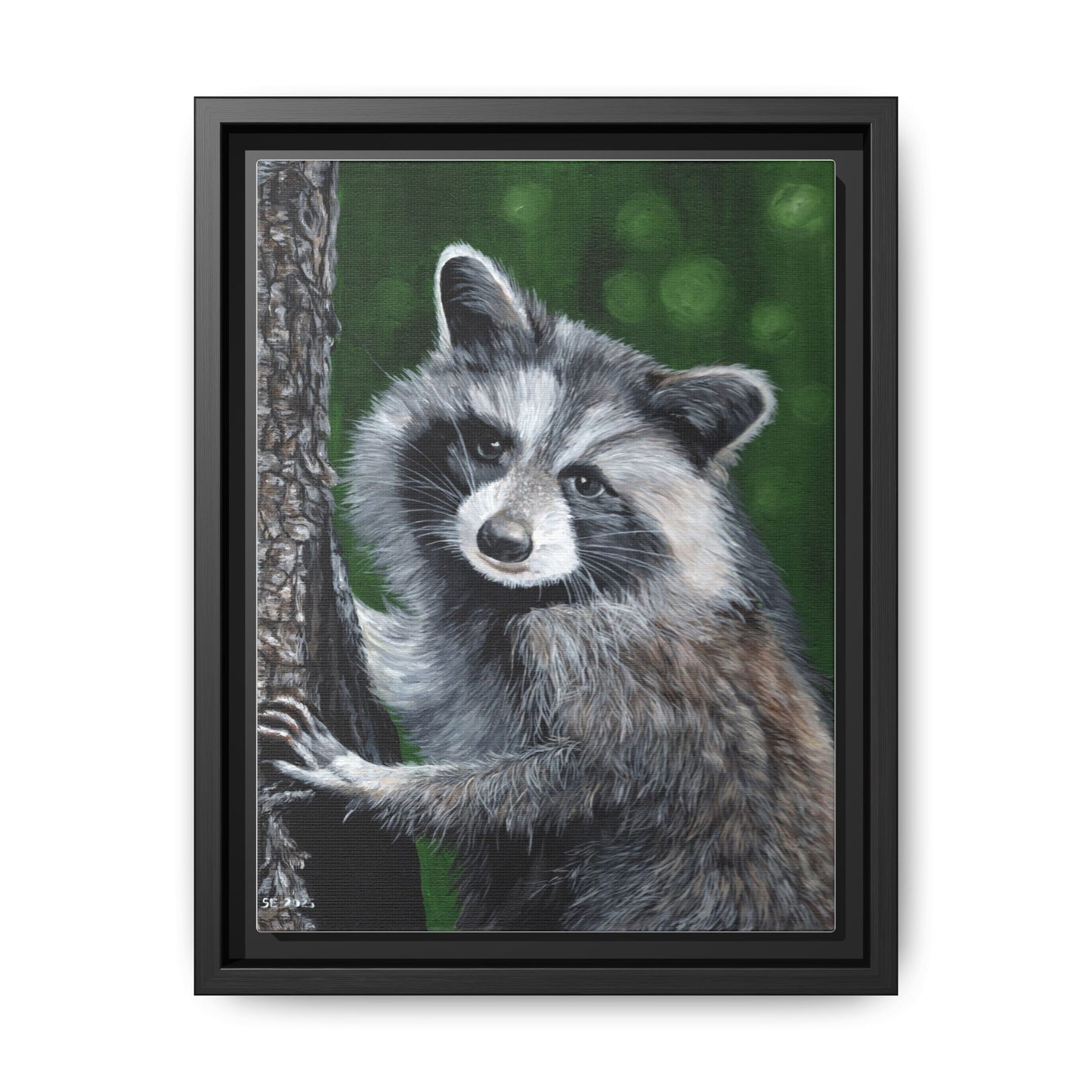 Framed Raccoon Canvas Art Print – Woodland Wildlife Wall Decor