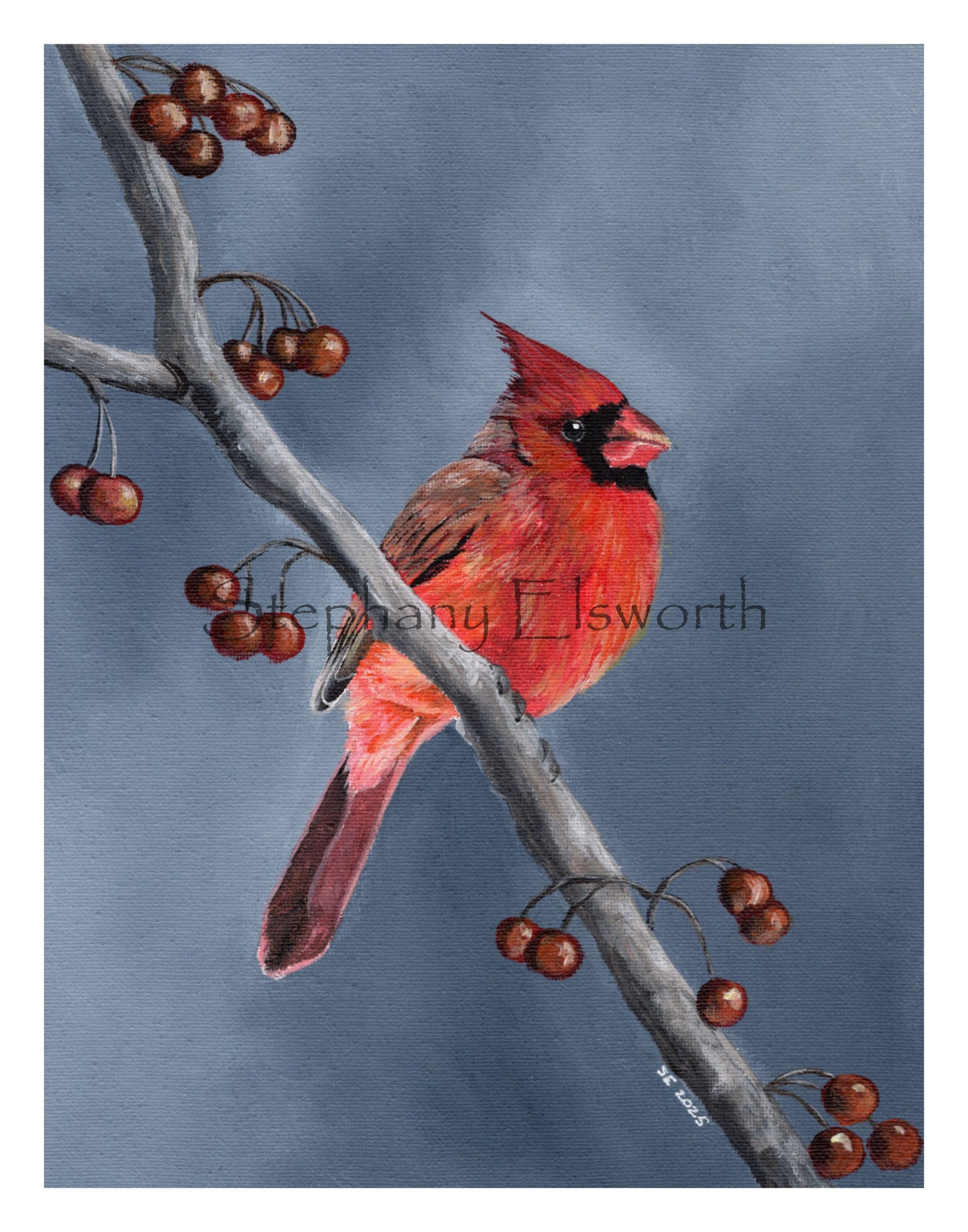 Cardinal Giclee Fine Art Print