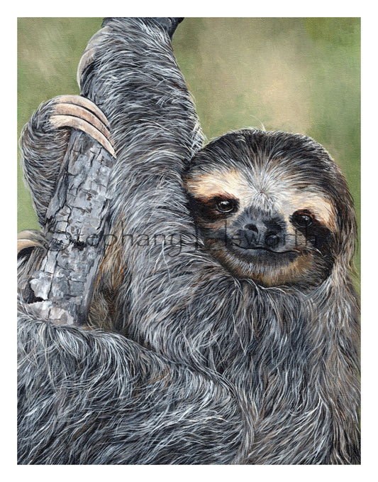 Illustration of a sloth clinging to a tree branch with 'Stephanie' signature.