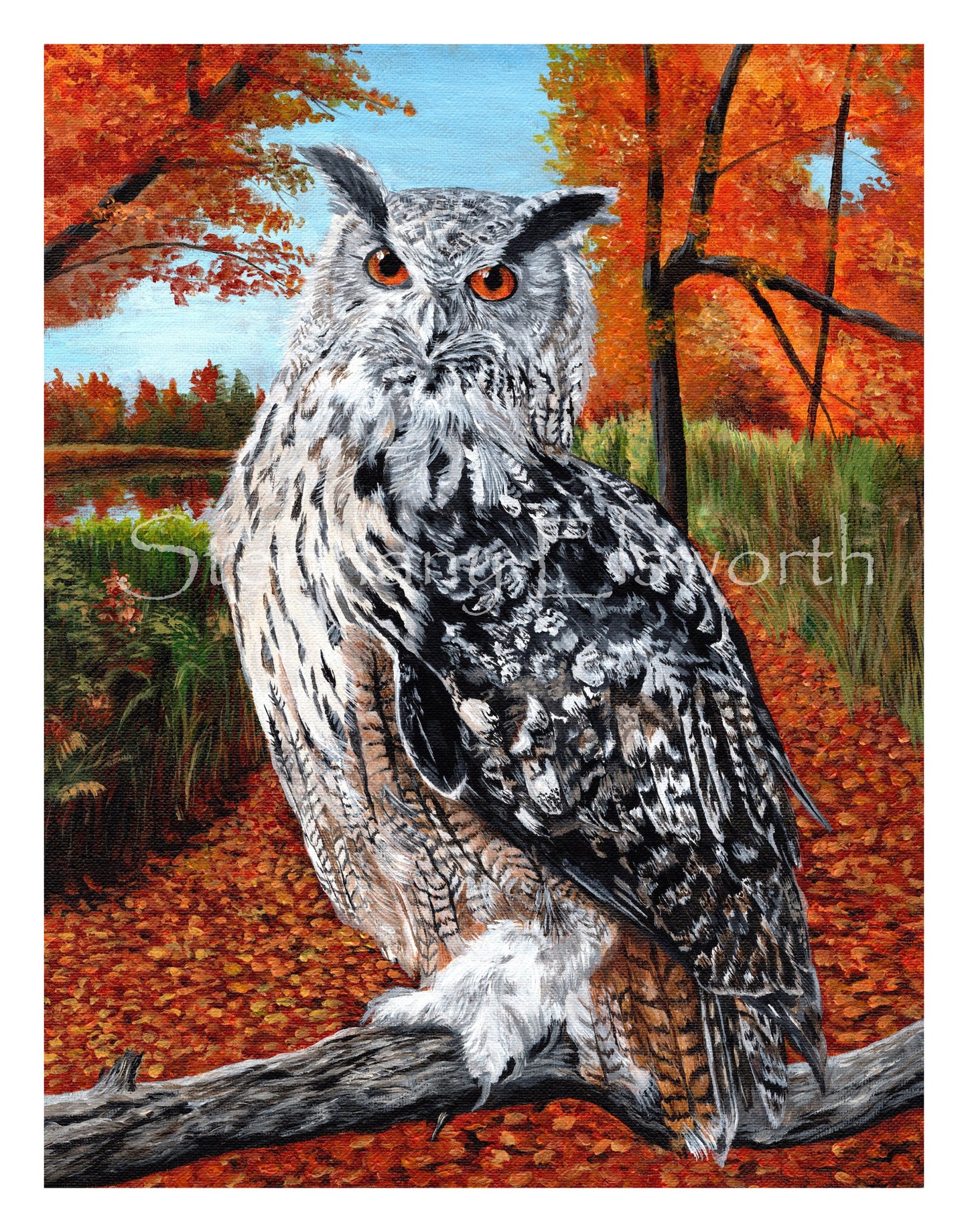 Owl in Autumn Forest Fine Art Giclee Prints