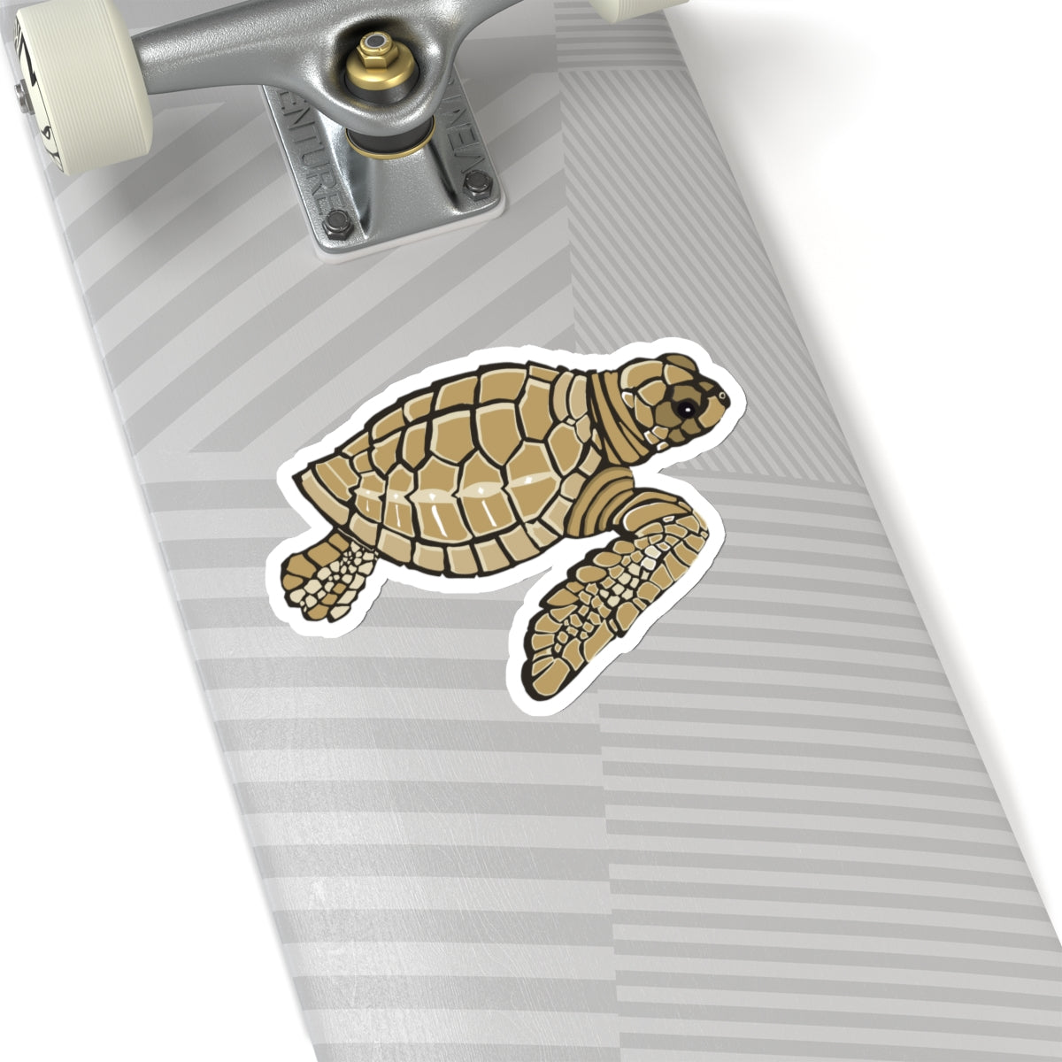 Baby Loggerhead Sea Turtle Kiss-Cut Stickers