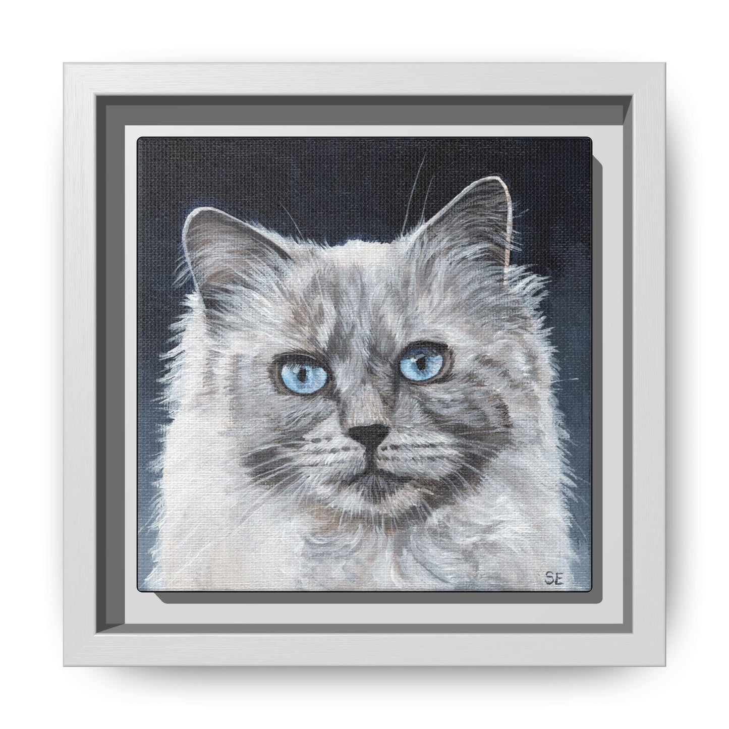 Framed Matte Canvas – Blue-Eyed Ragdoll Cat Portrait
