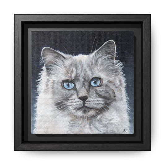 Framed Matte Canvas – Blue-Eyed Ragdoll Cat Portrait