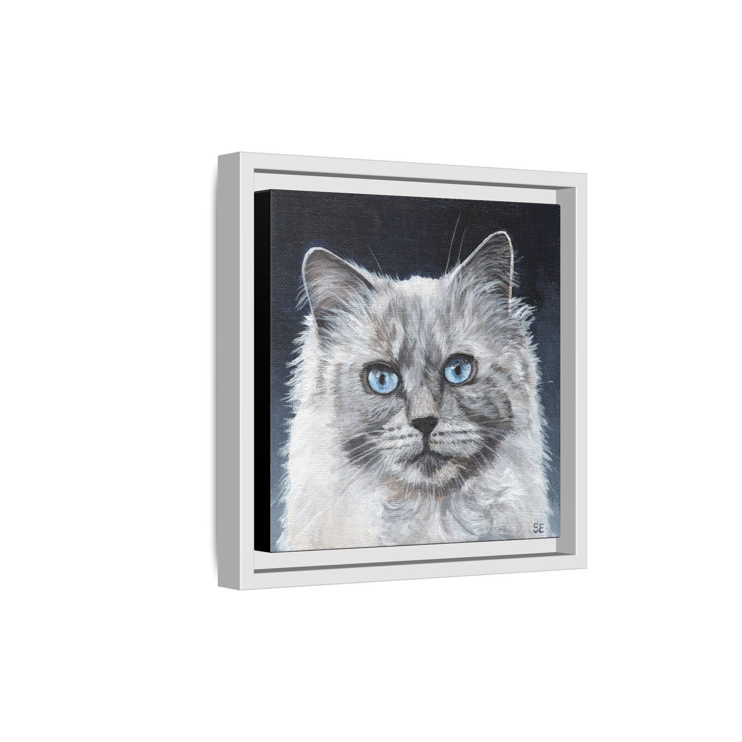 Framed Matte Canvas – Blue-Eyed Ragdoll Cat Portrait