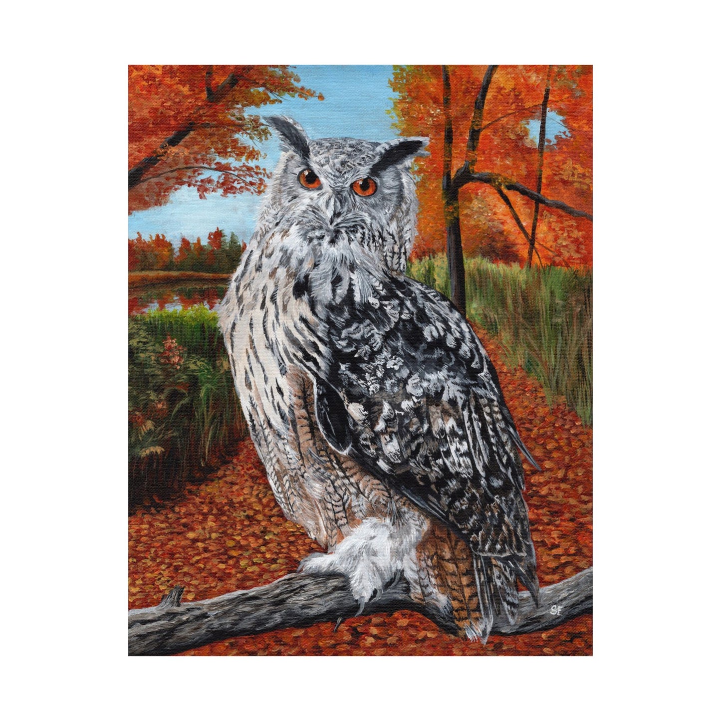 Owl in Autumn Matte Poster — Wildlife Wall Art Print