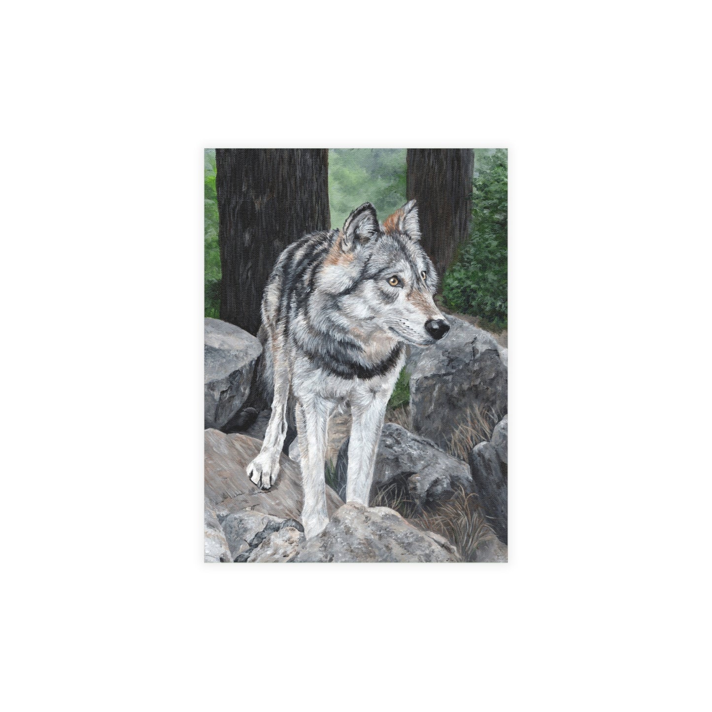 Wolf on Rocks Postcard Bundles (envelopes included)