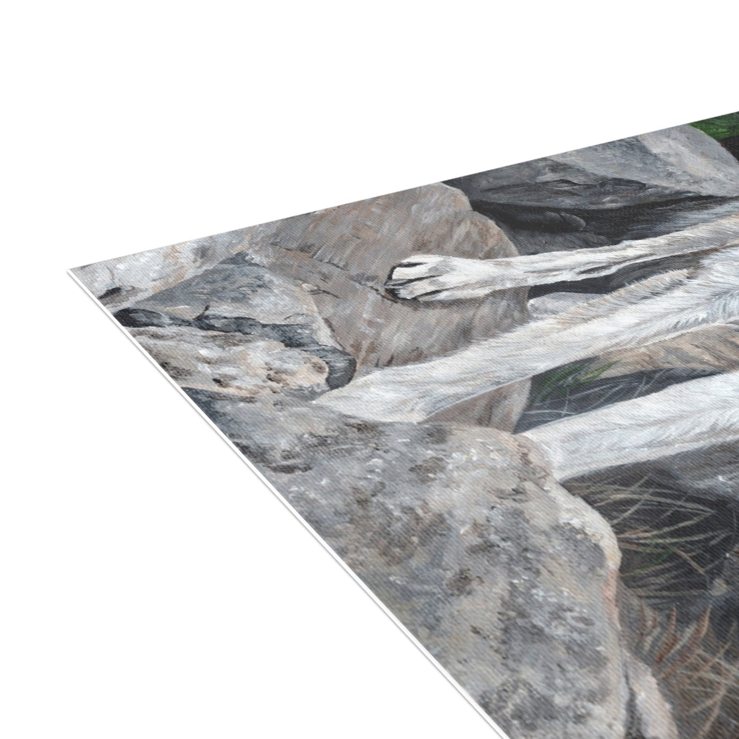 Wolf on Rocks Postcard Bundles (envelopes included)