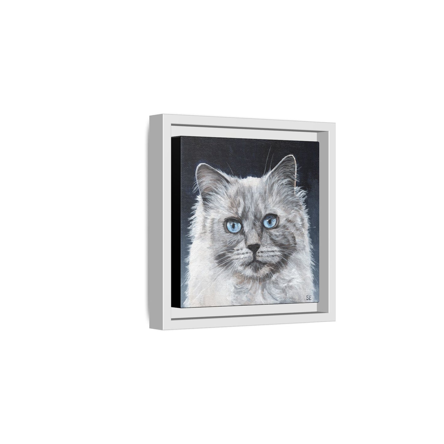 Framed Matte Canvas – Blue-Eyed Ragdoll Cat Portrait