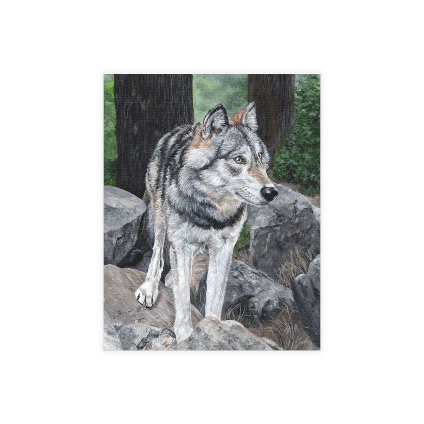 Wolf on Rocks Postcard Bundles (envelopes included)