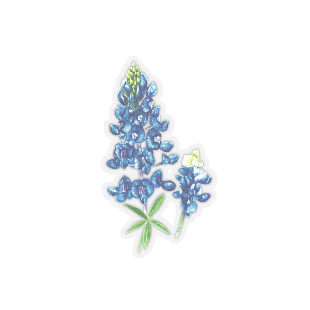 Sticker Set - Bluebonnet Kiss-Cut Stickers