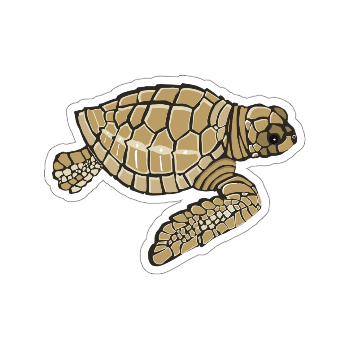 Baby Loggerhead Sea Turtle Kiss-Cut Stickers