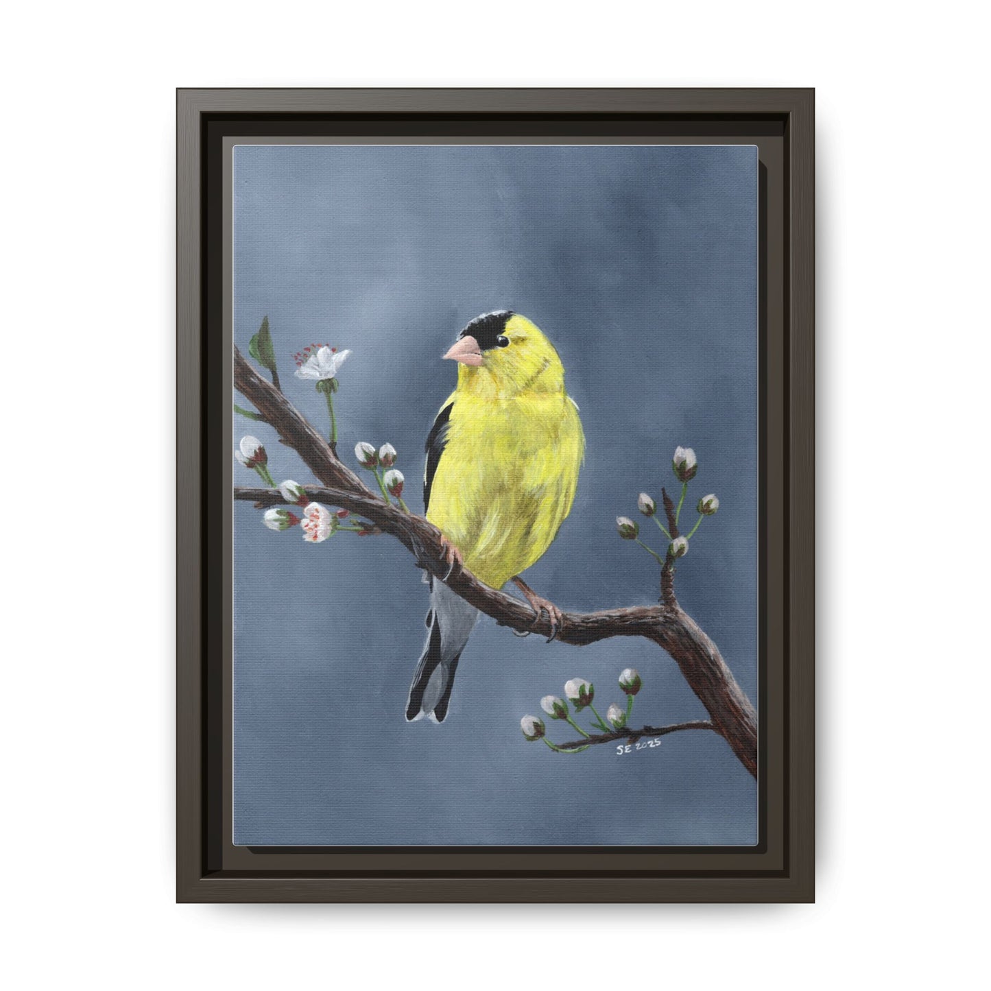 Framed Canvas Print — Yellow Finch on Branch Wall Art