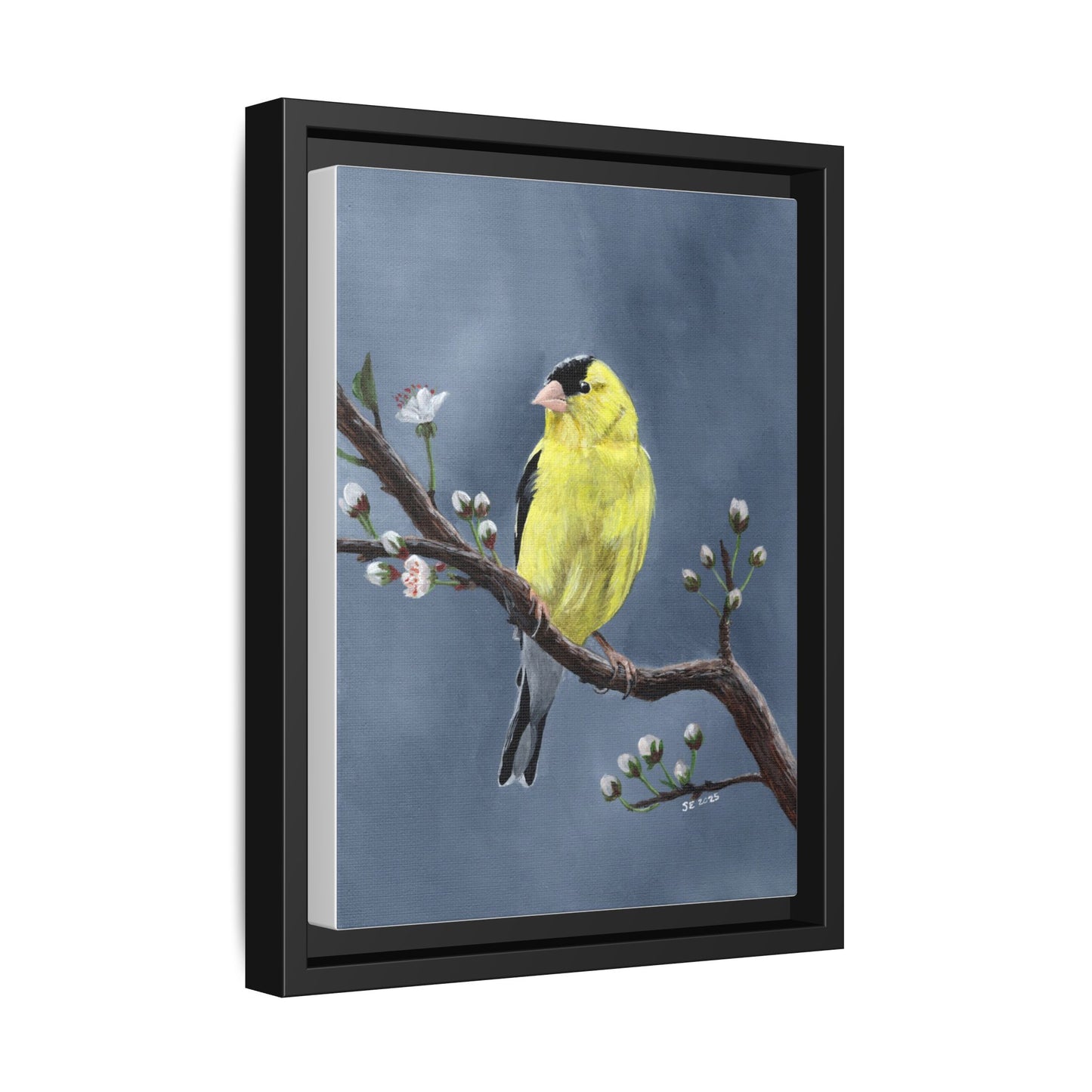 Framed Canvas Print — Yellow Finch on Branch Wall Art