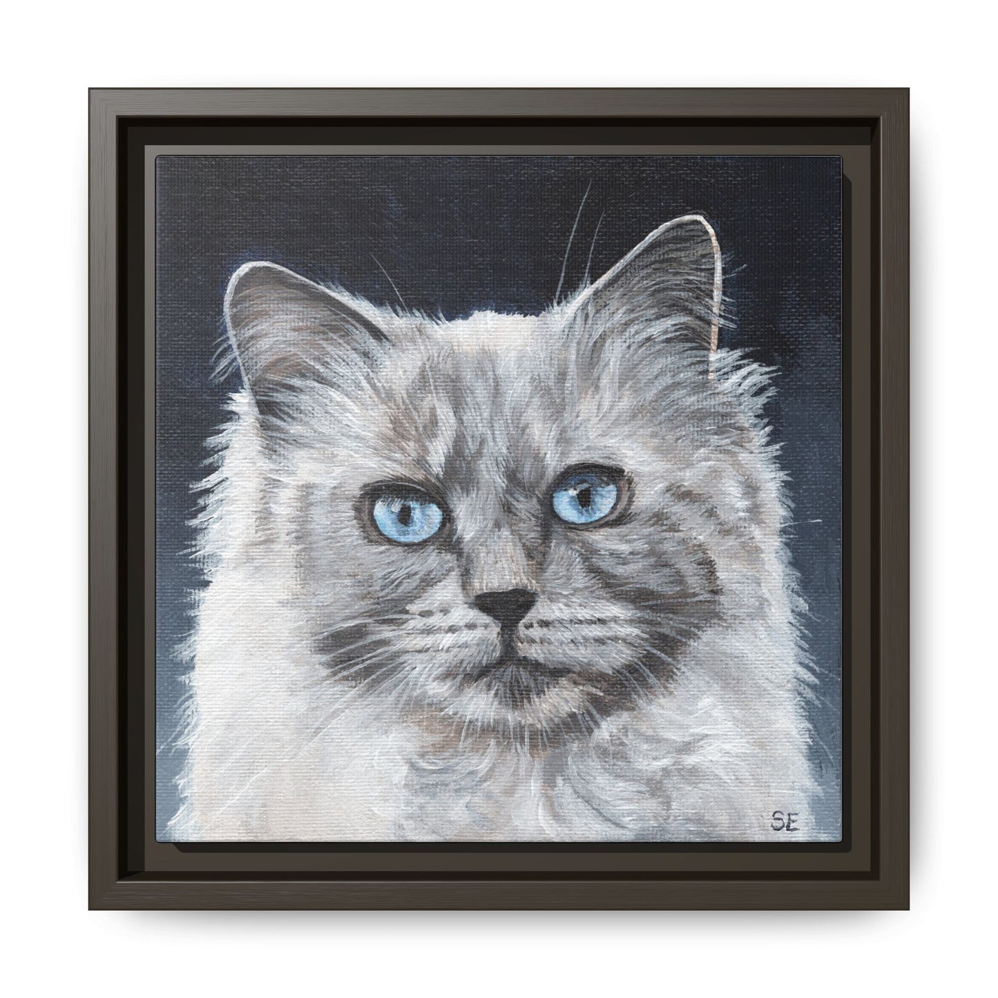 Framed Matte Canvas – Blue-Eyed Ragdoll Cat Portrait
