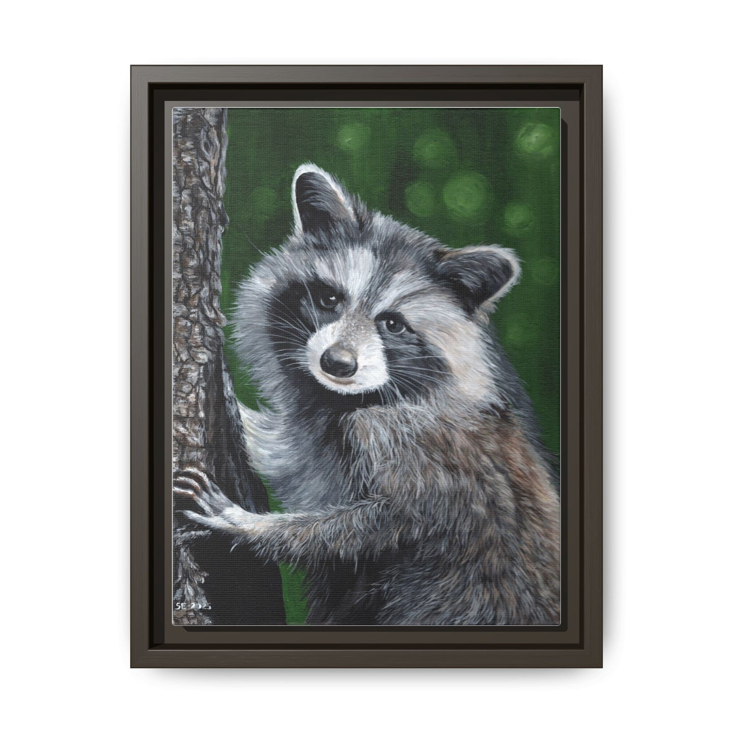 Framed Raccoon Canvas Art Print – Woodland Wildlife Wall Decor