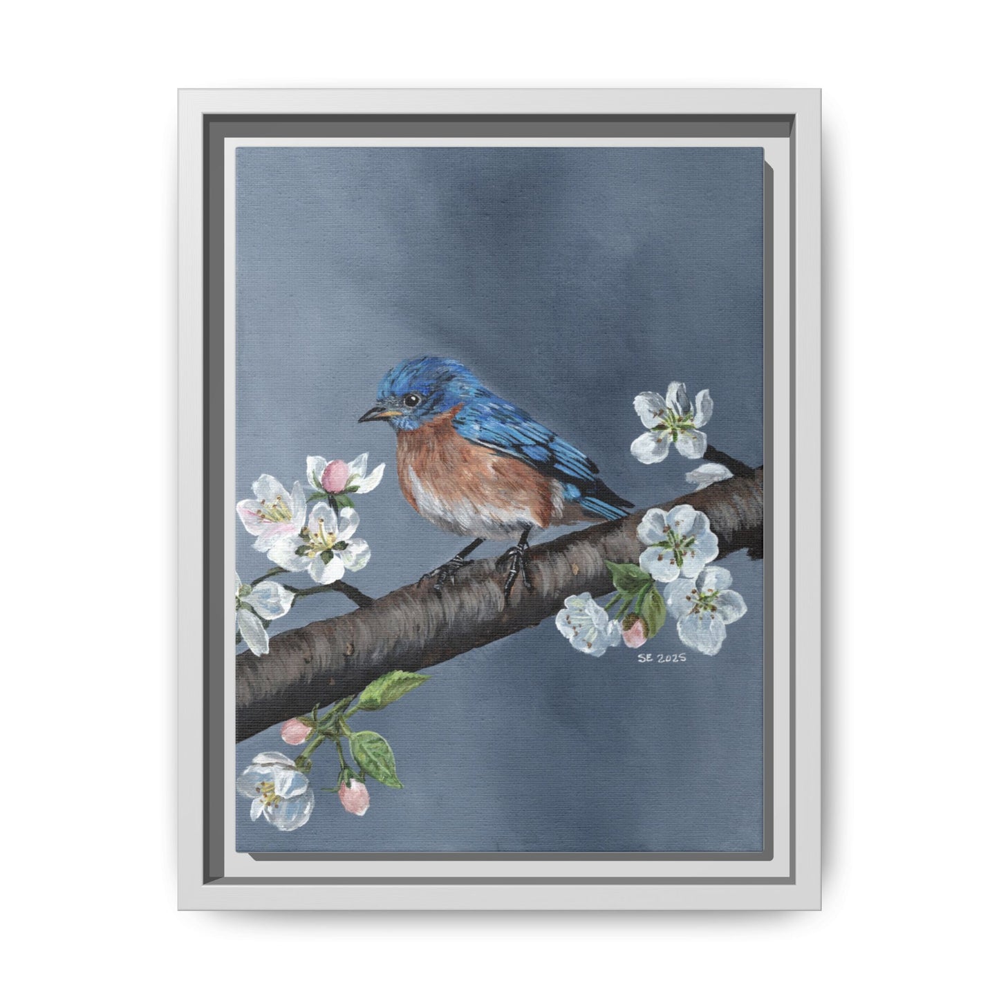 Framed Bluebird Canvas Art — Spring Blossoms Wall Print