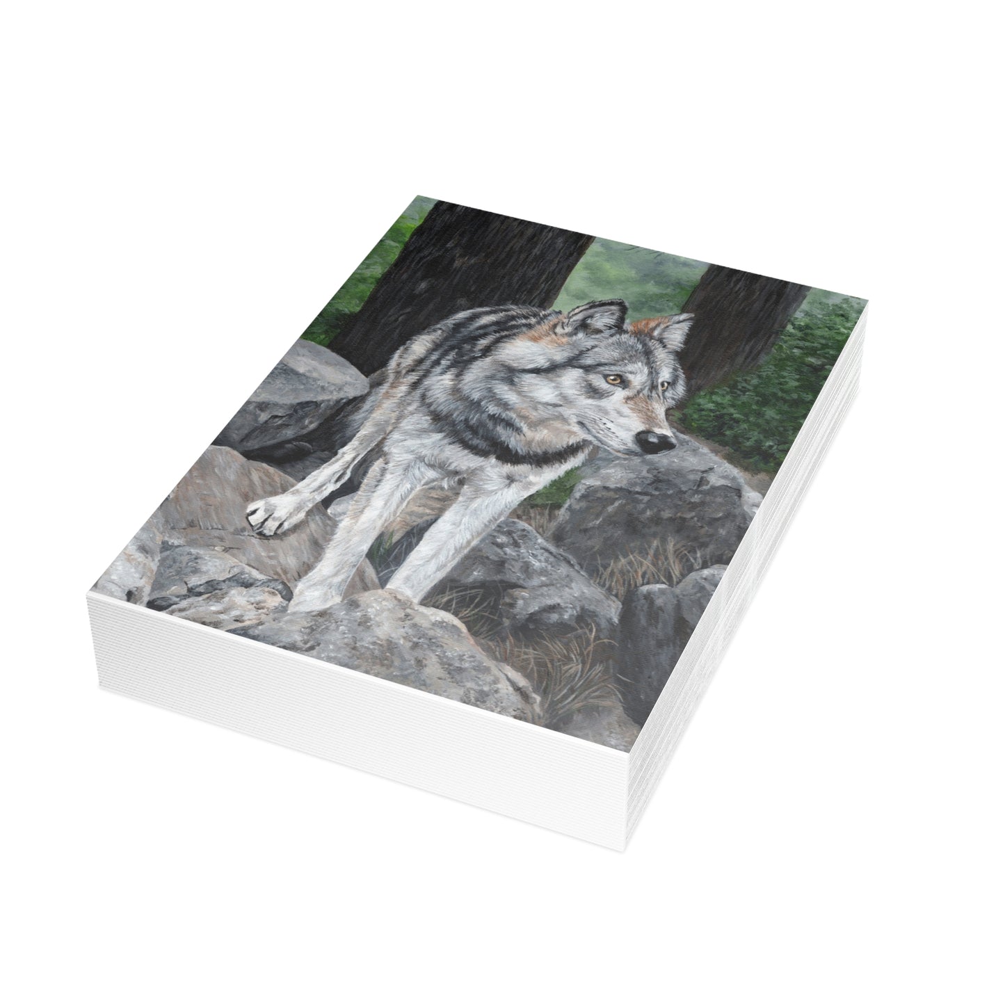 Wolf on Rocks Postcard Bundles (envelopes included)