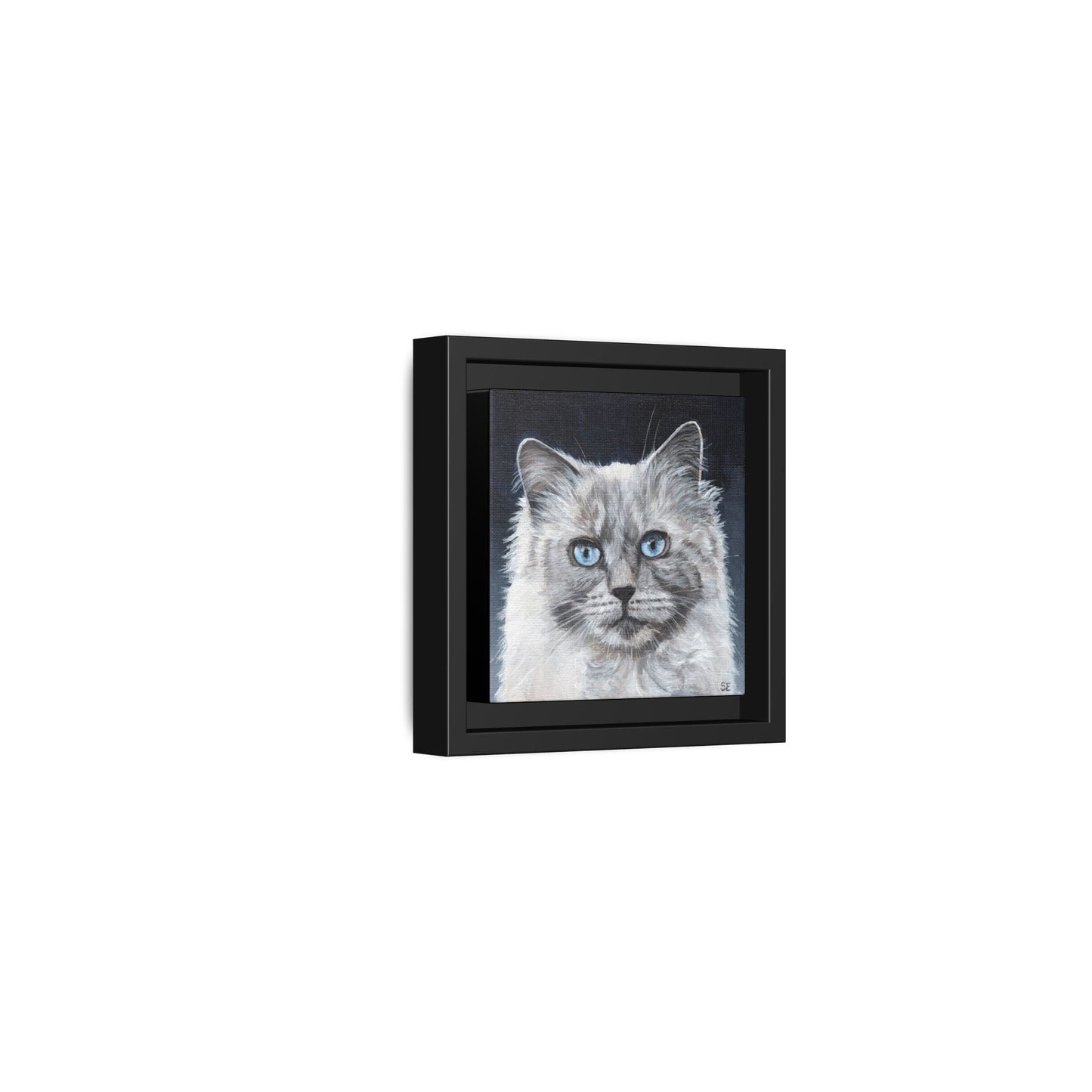 Framed Matte Canvas – Blue-Eyed Ragdoll Cat Portrait