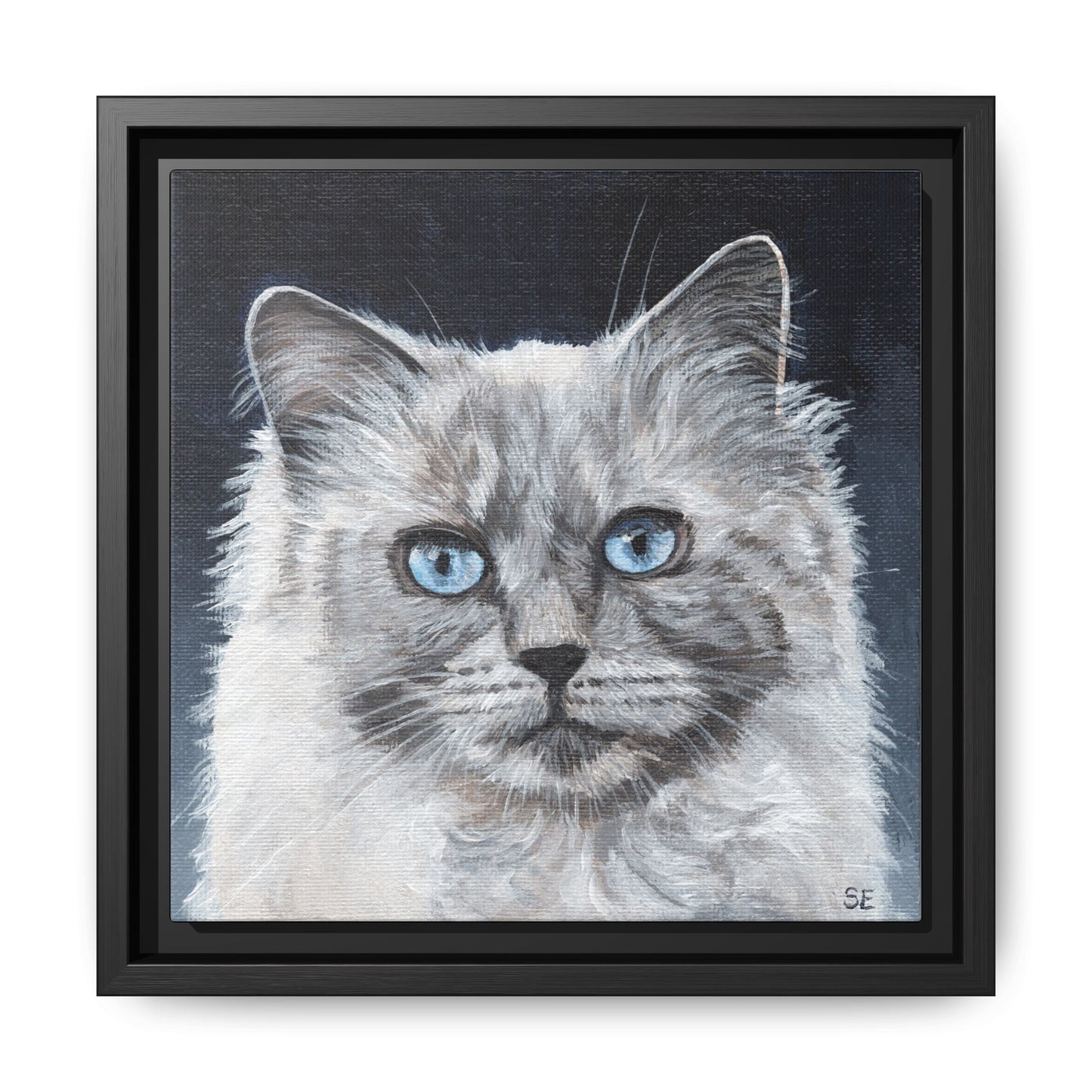 Framed Matte Canvas – Blue-Eyed Ragdoll Cat Portrait