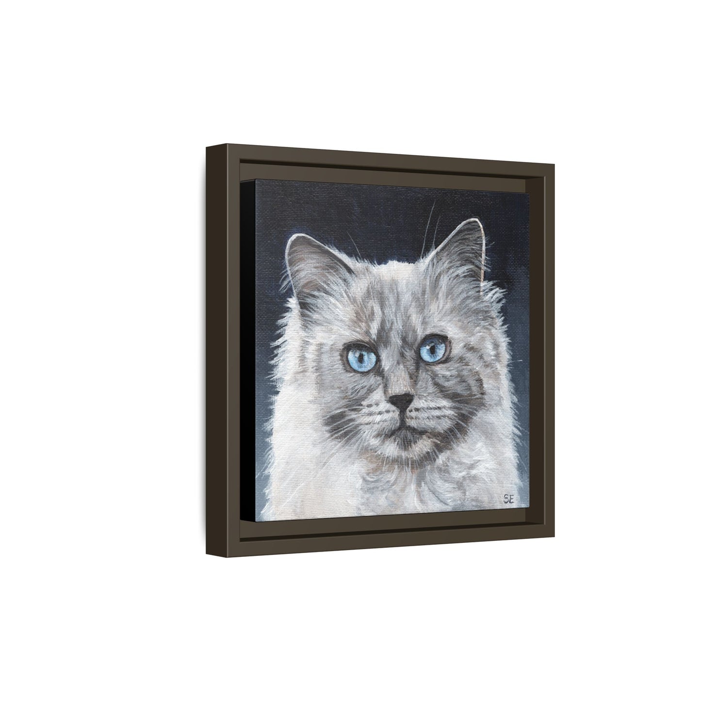 Framed Matte Canvas – Blue-Eyed Ragdoll Cat Portrait