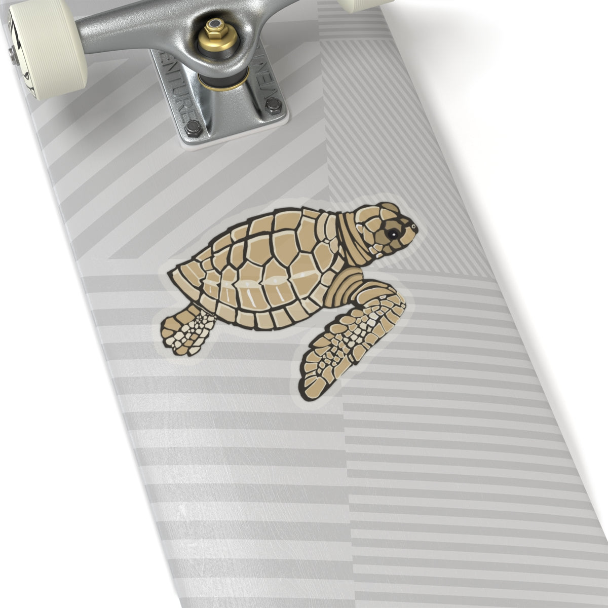 Baby Loggerhead Sea Turtle Kiss-Cut Stickers