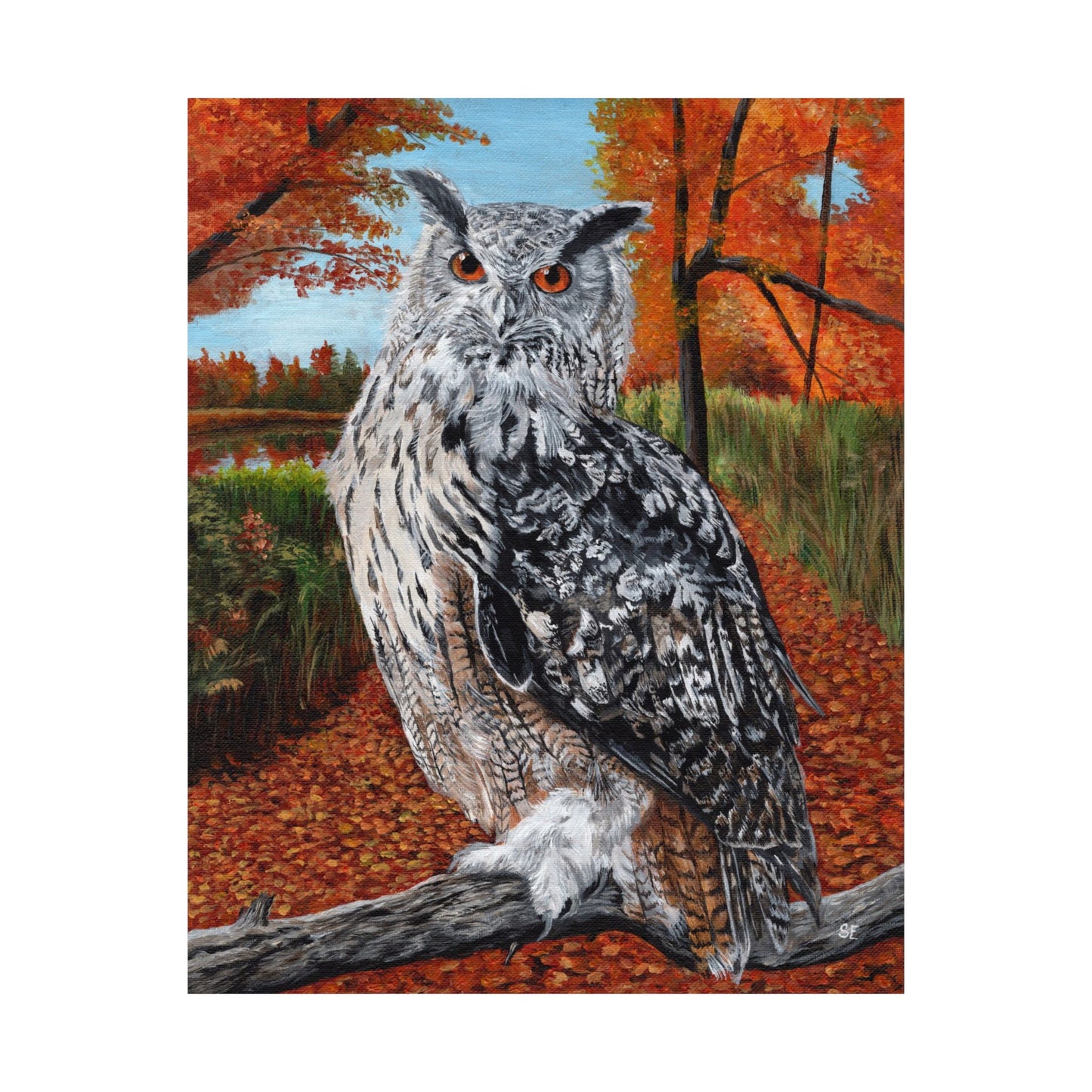 Owl in Autumn Matte Poster — Wildlife Wall Art Print