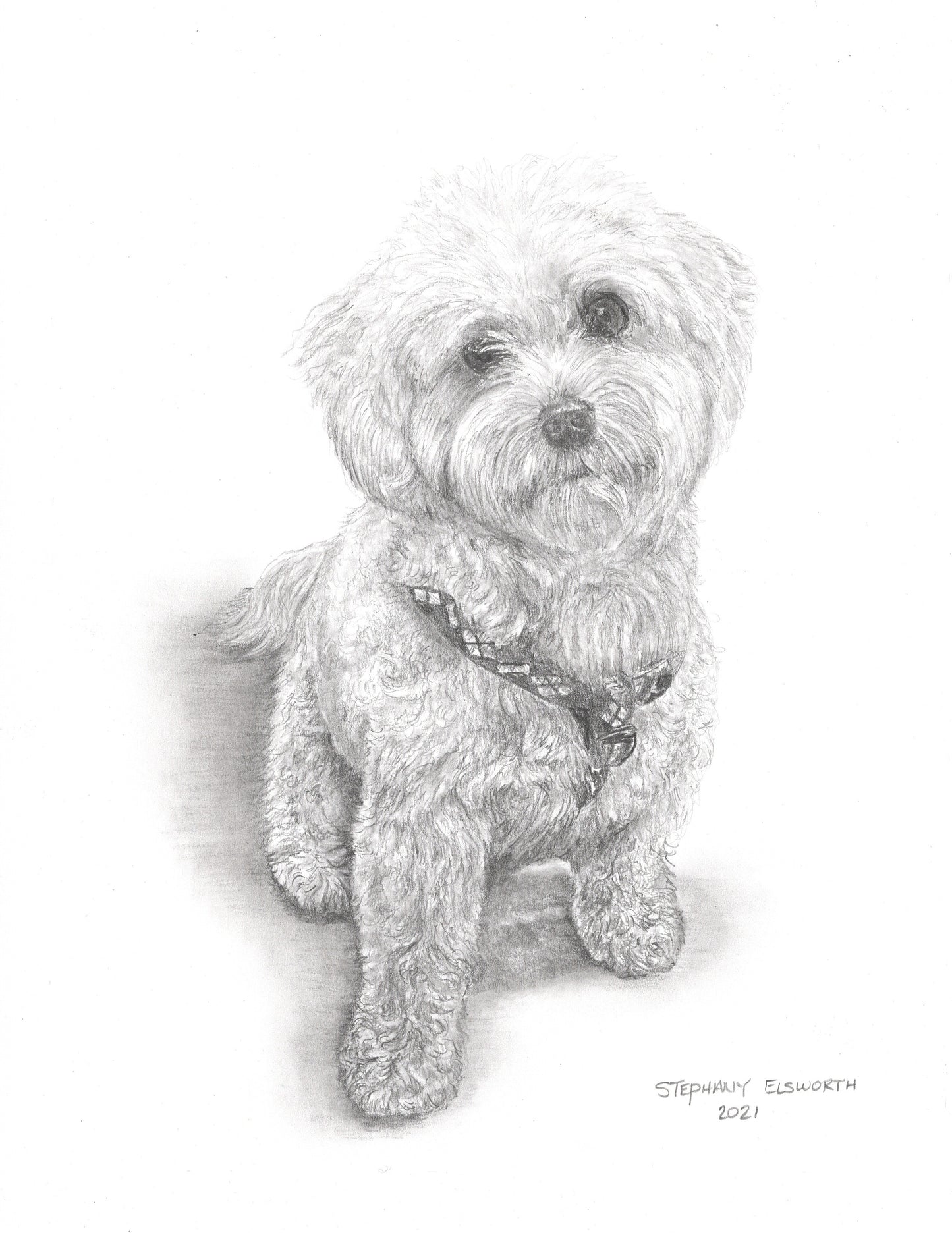 Custom Graphite Pencil Pet Portrait from Photo