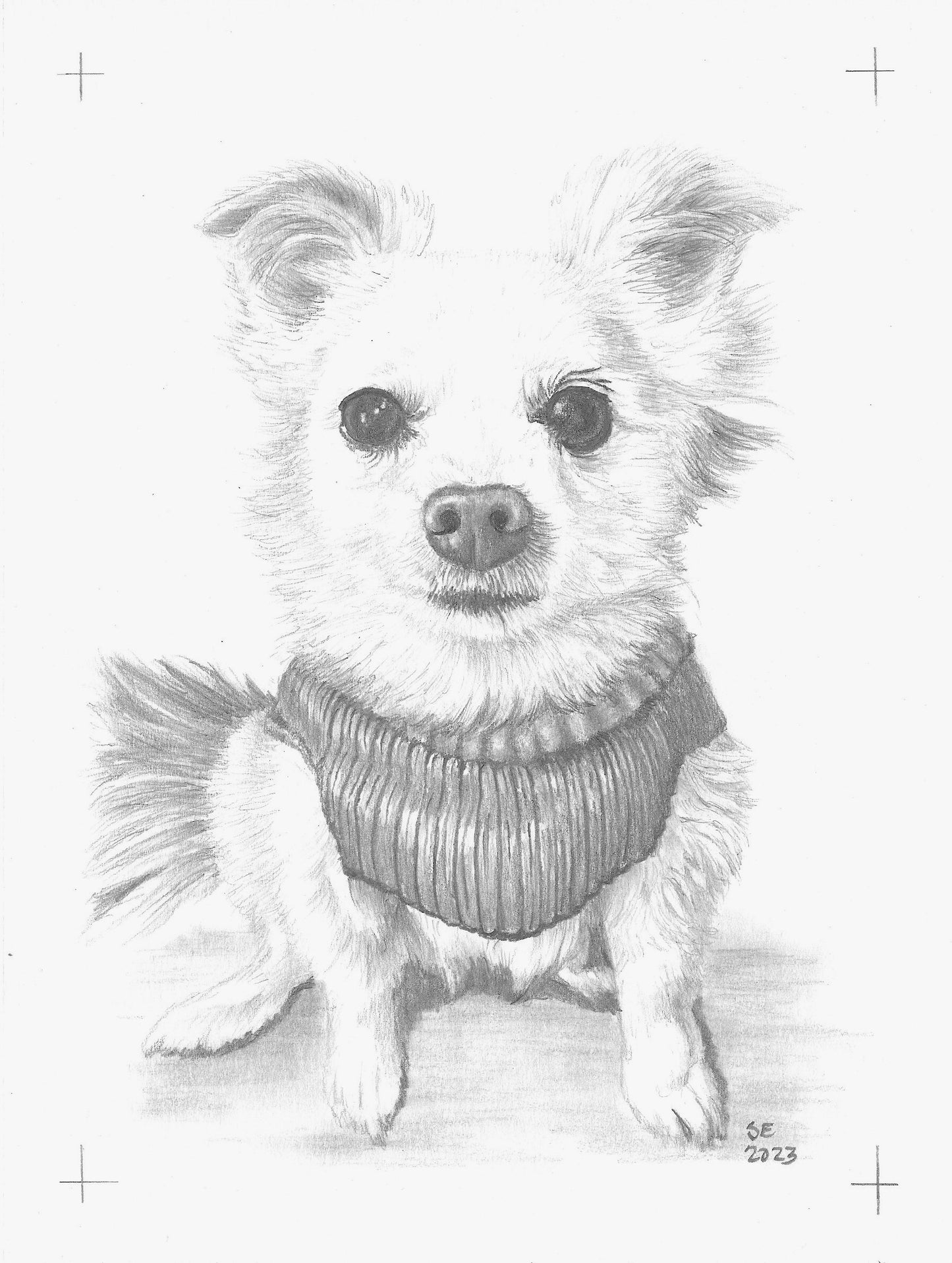 Custom Graphite Pencil Pet Portrait from Photo
