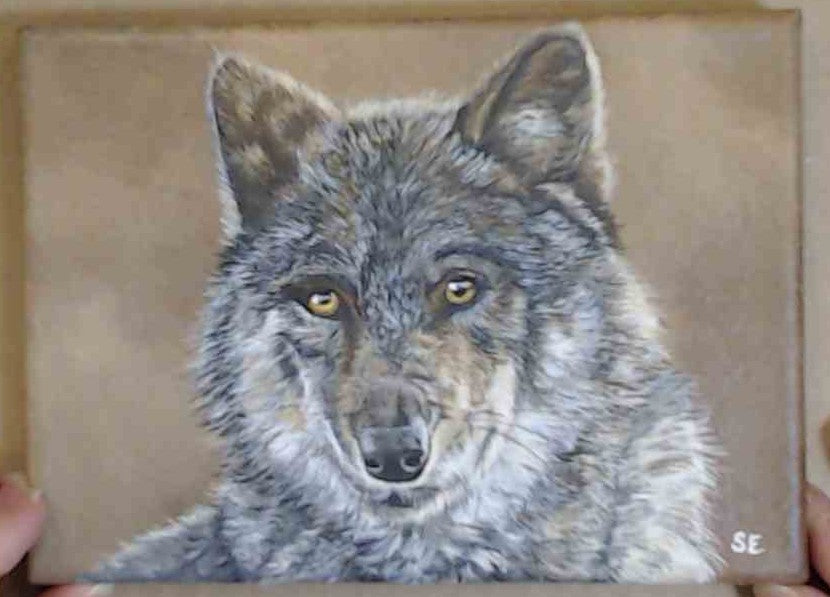 7 x 5 inch Wolf Study Original Acrylic Painting
